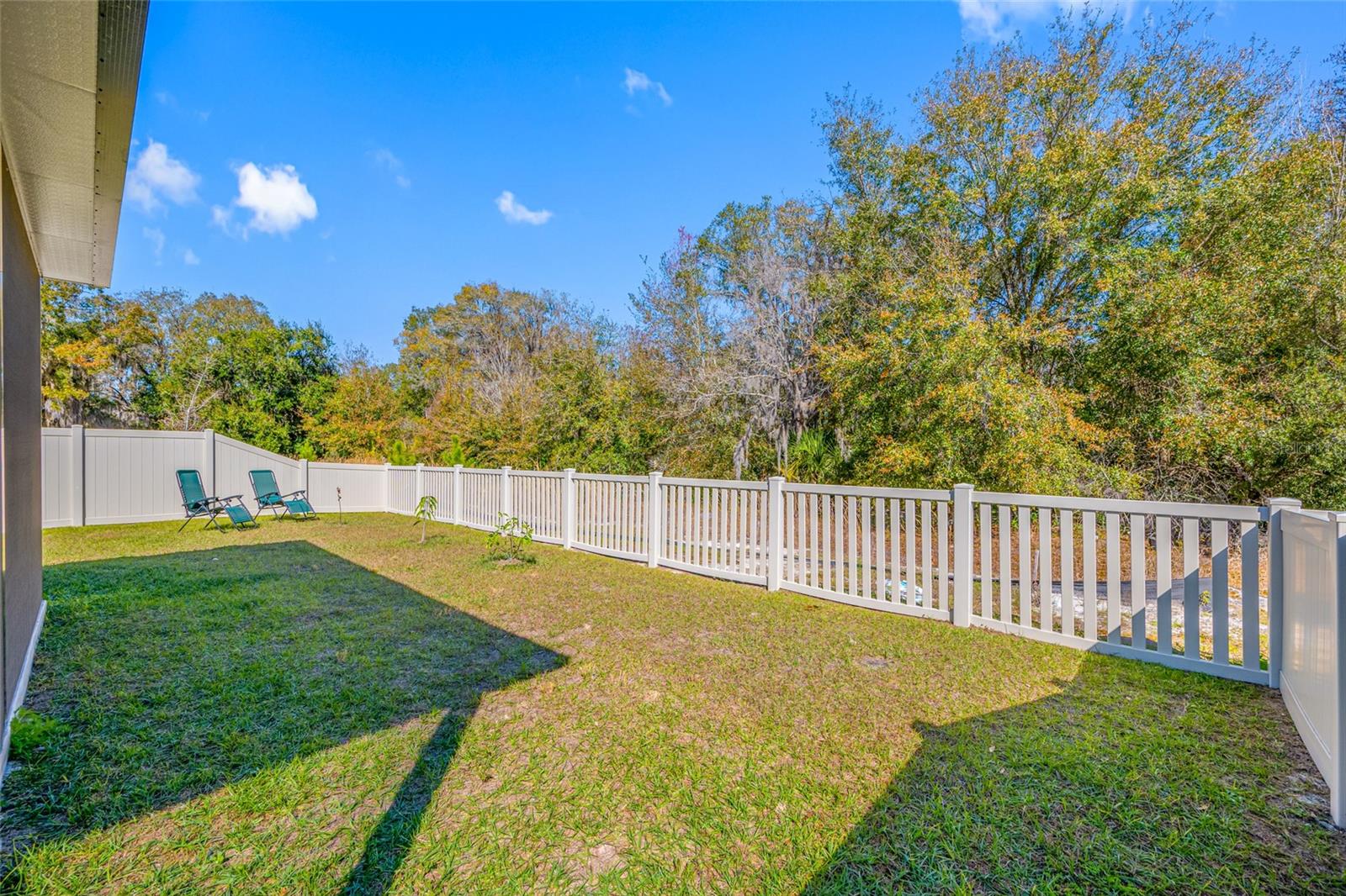 20076 AZUL MARBLE LOOP, LAND O LAKES, FL, 34638