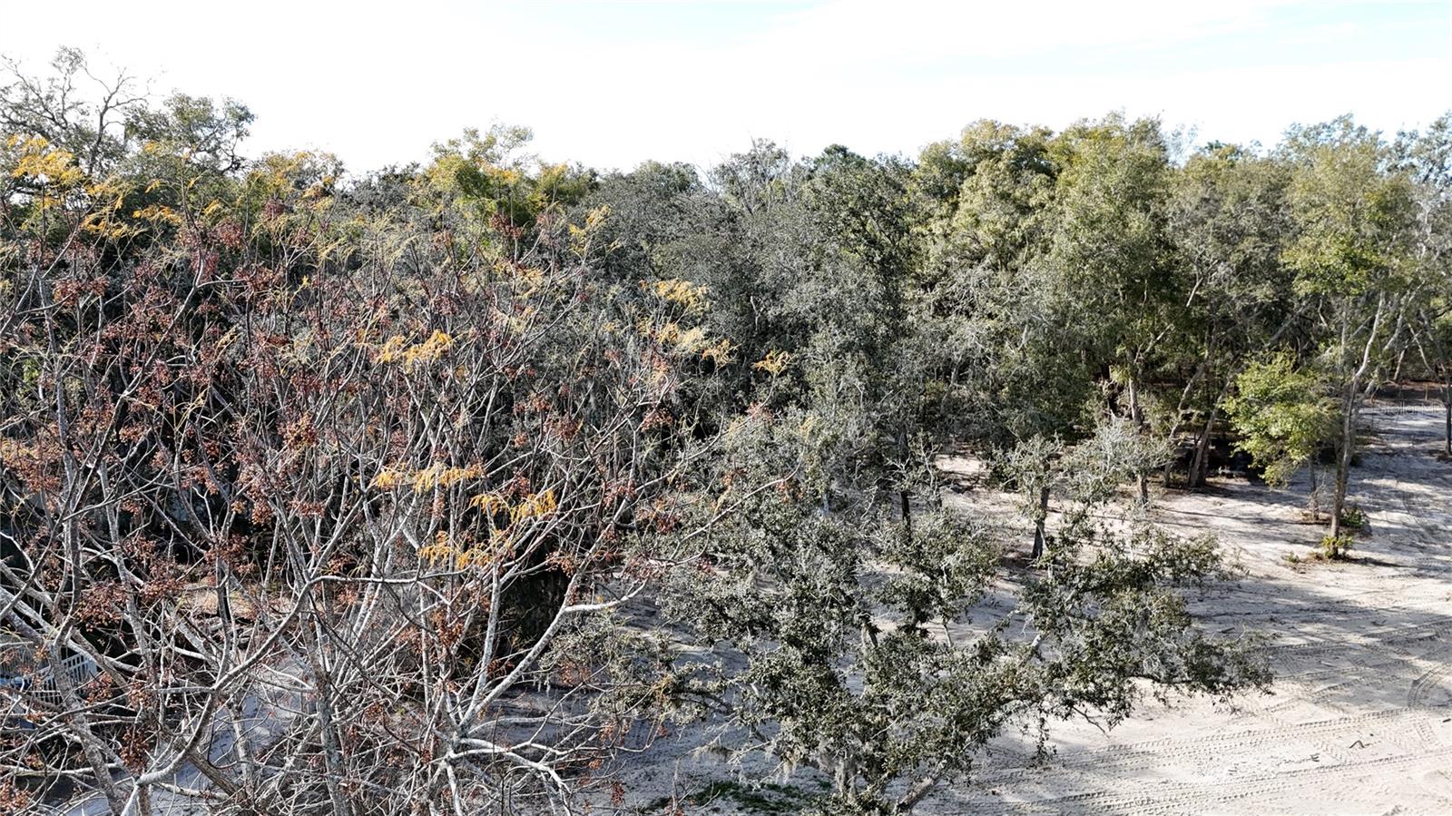 12510 ROBINHOOD RD, HUDSON, FL, 34669