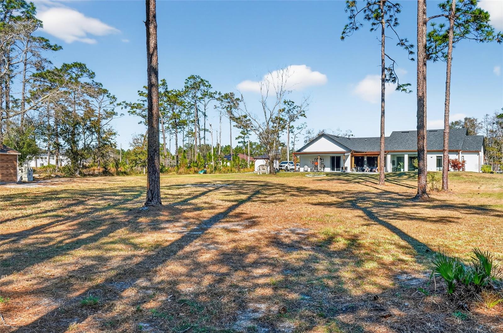 19438 SHELDON ST, ORLANDO, FL, 32833