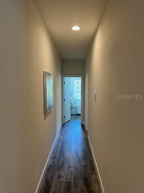 5723 DESERT ROSE PL, TAMPA, FL, 33615