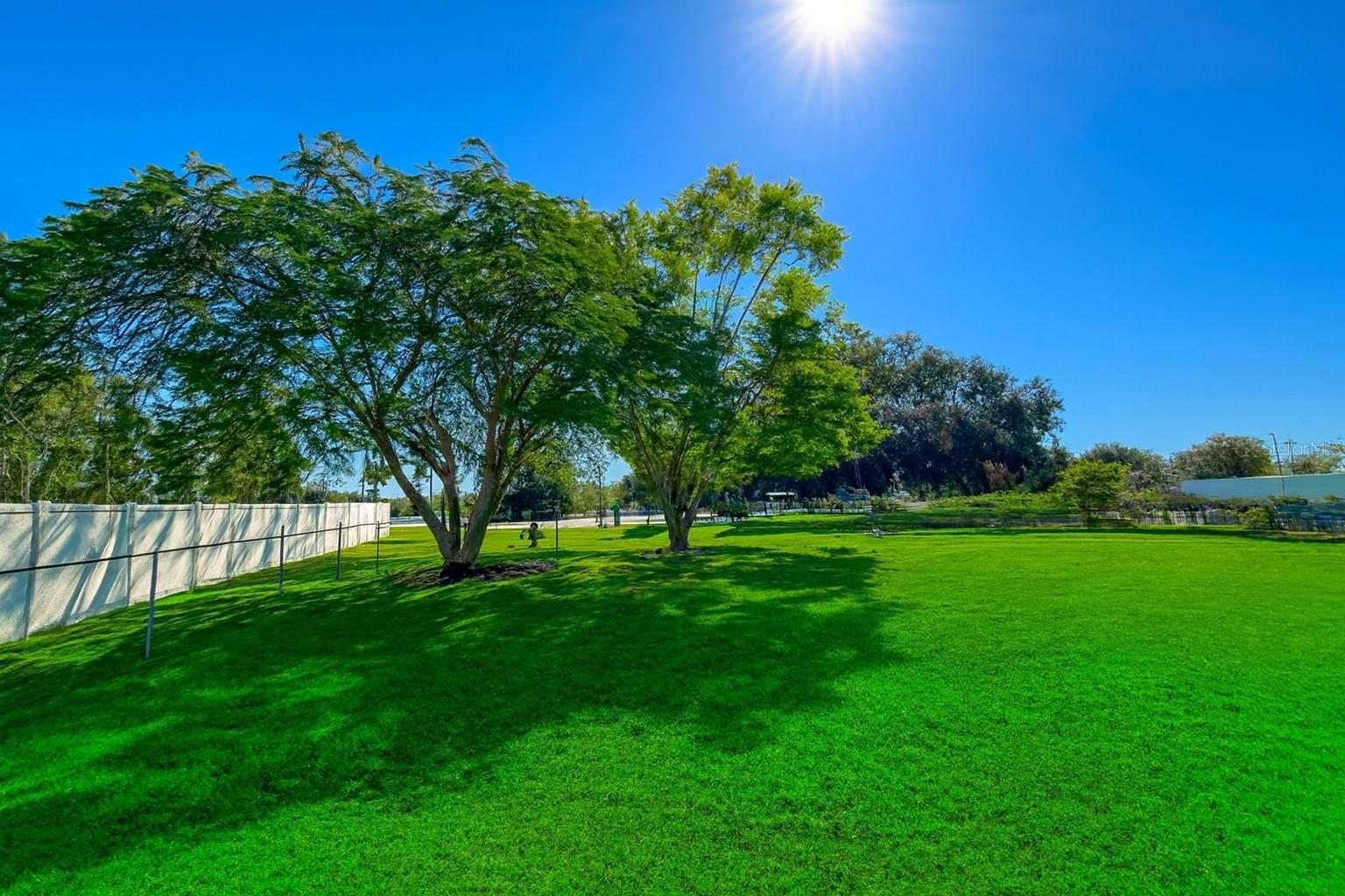 12255 FLORIDA WOODS LN, ORLANDO, FL, 32824