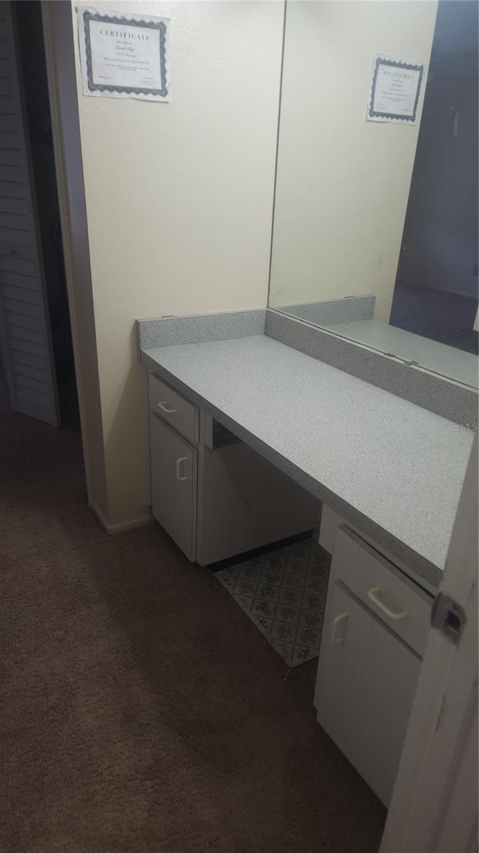 14460 REUTER STRASSE CIR #718, TAMPA, FL, 33613