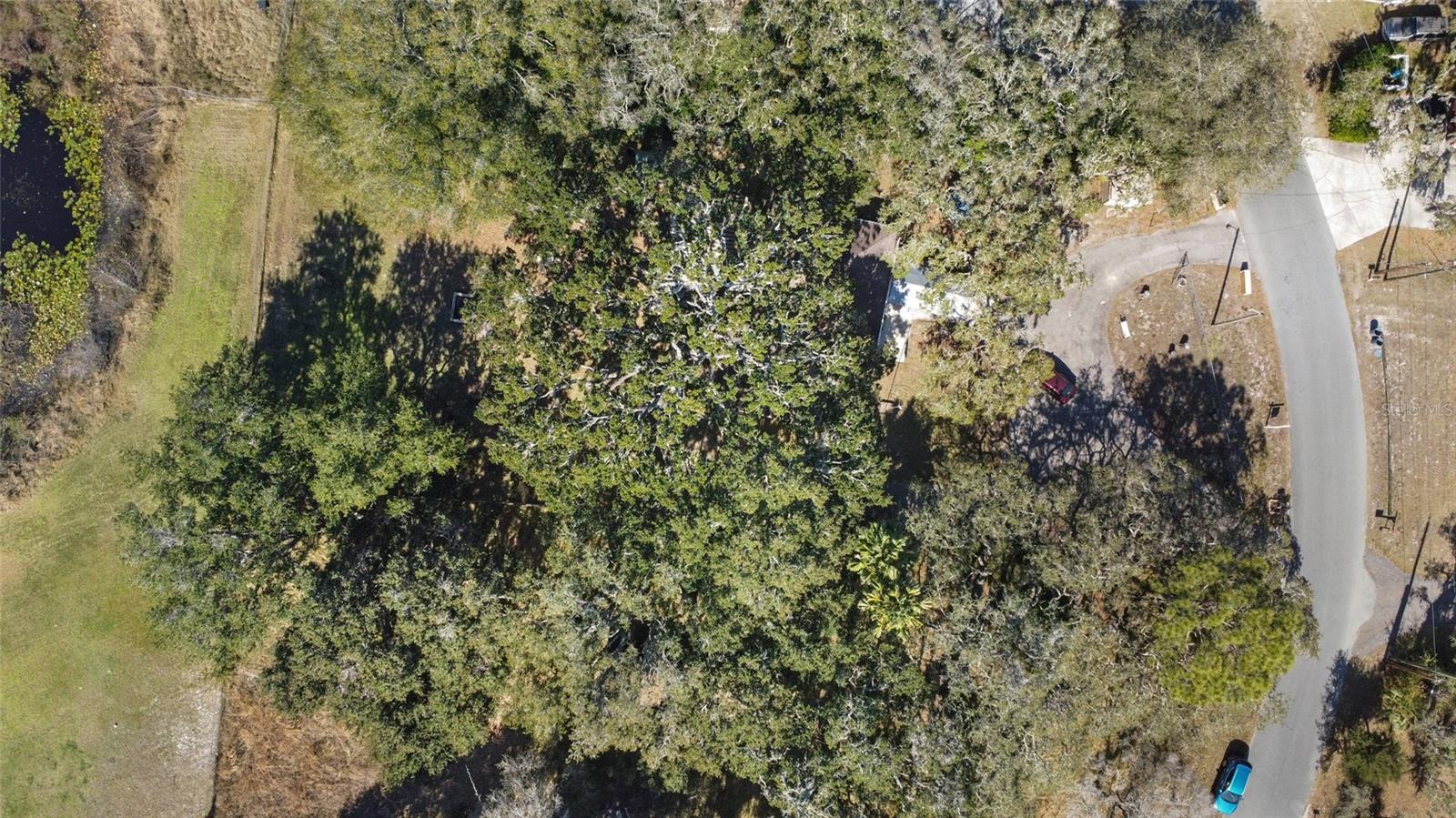 10100 FRIERSON LAKE DR, HUDSON, FL, 34669