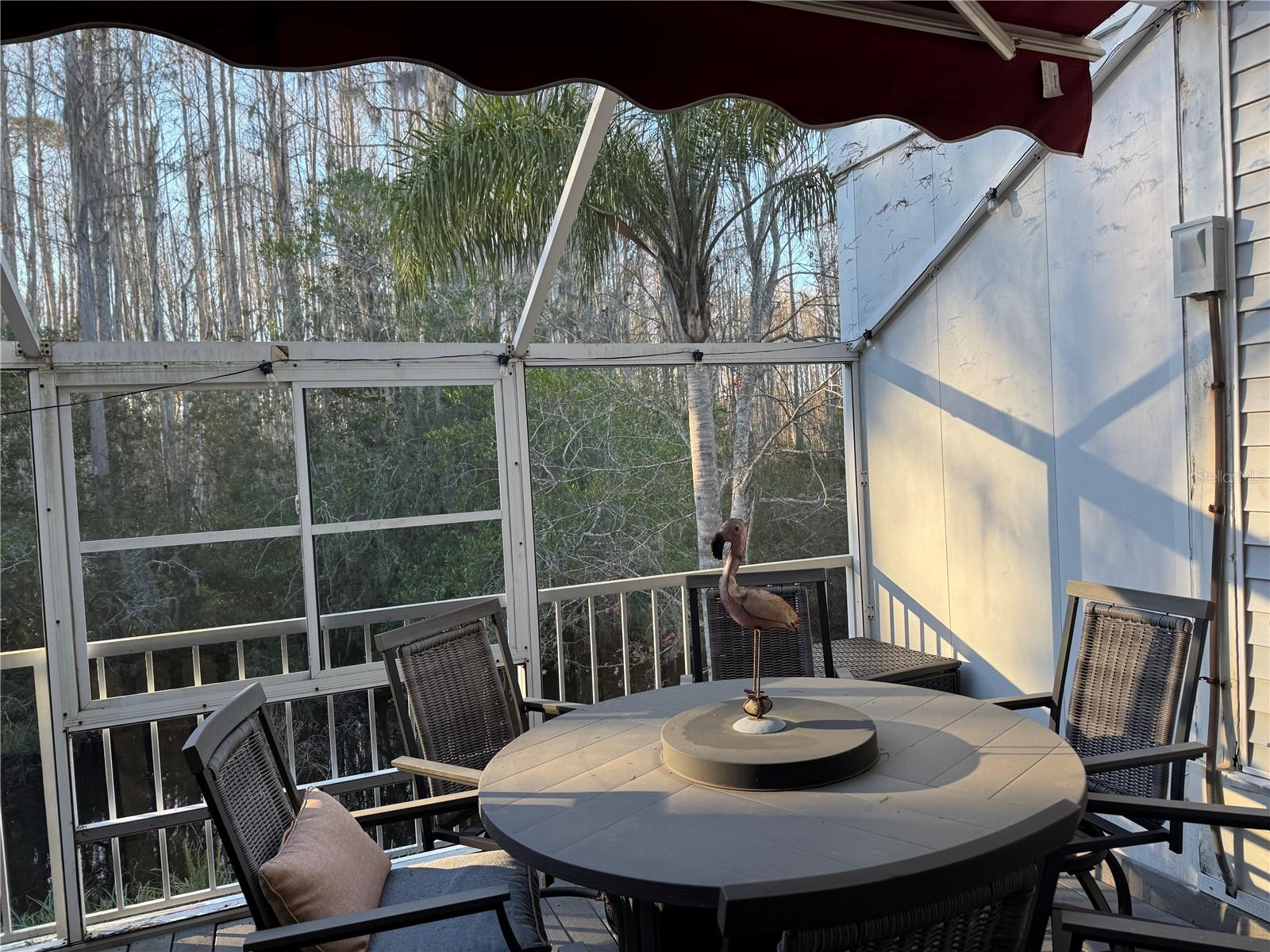 2111 VISTA DEL SOL CIR #403, LUTZ, FL, 33558