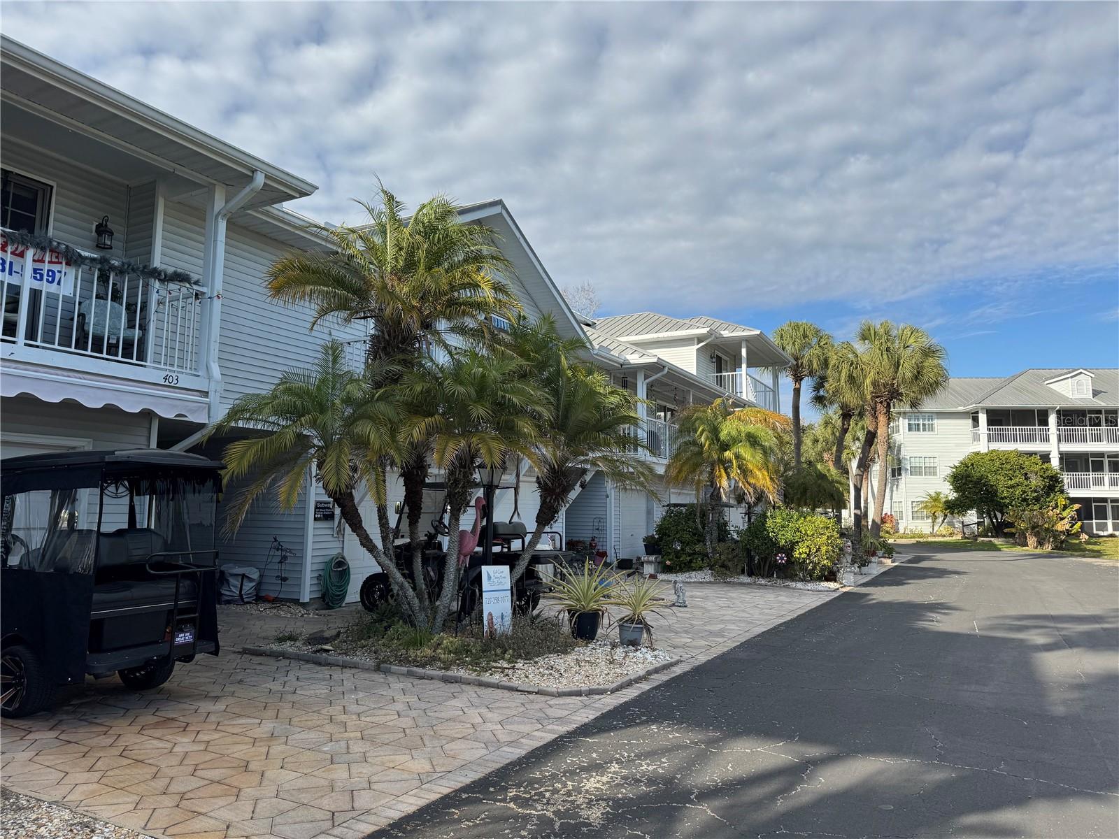 2111 VISTA DEL SOL CIR #403, LUTZ, FL, 33558