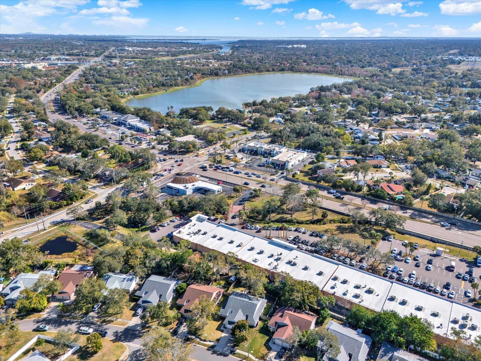 3294 CLOVERPLACE DR #15, PALM HARBOR, FL, 34684