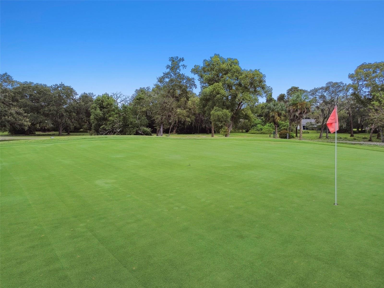 12520 COFFEE HILL ROW, HUDSON, FL, 34667