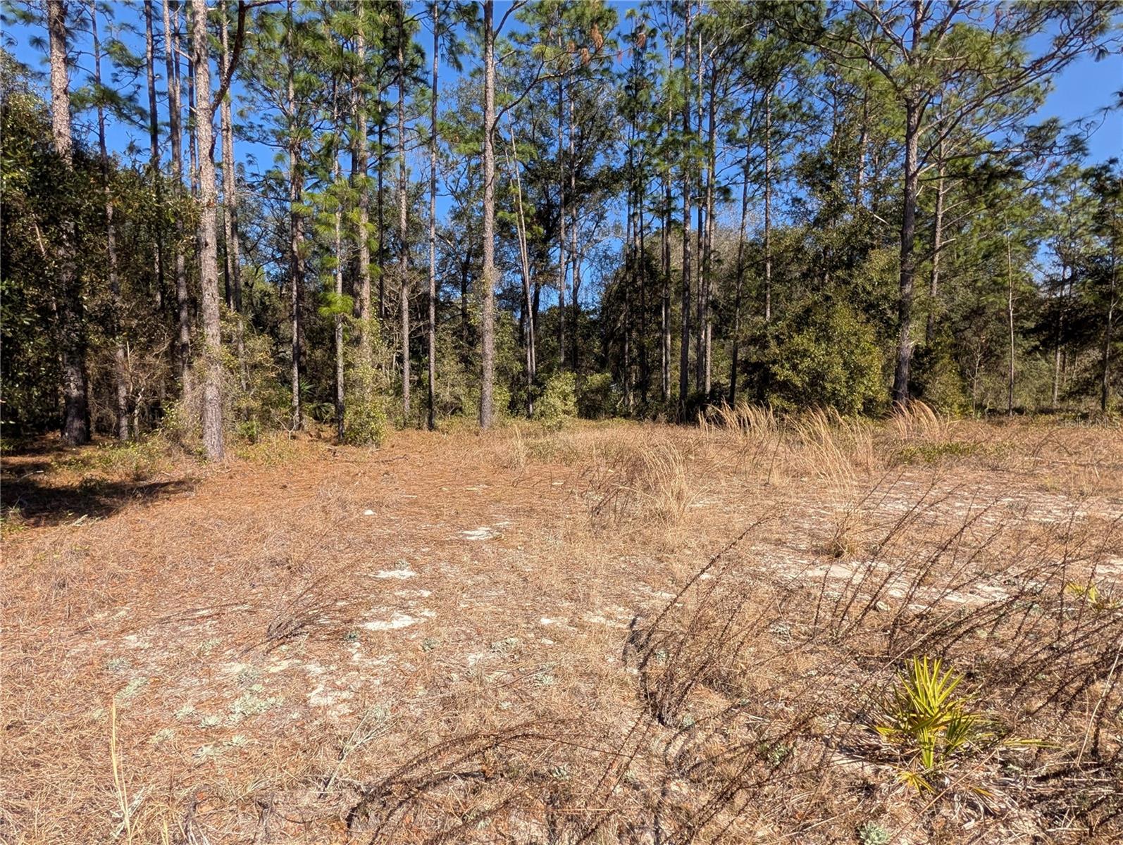 SW SOUNDVIEW DR, DUNNELLON, FL, 34431