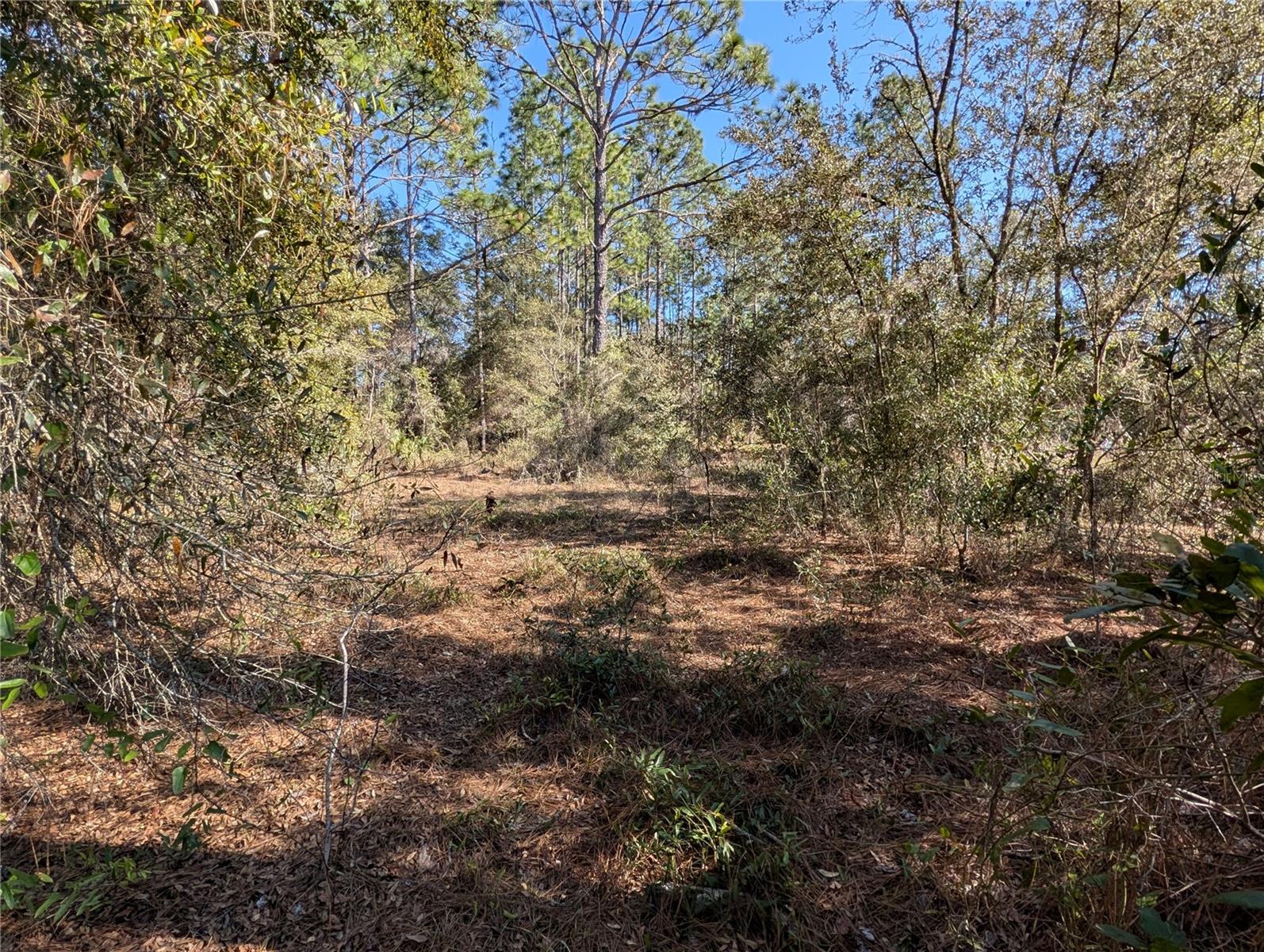 SW SOUNDVIEW DR, DUNNELLON, FL, 34431