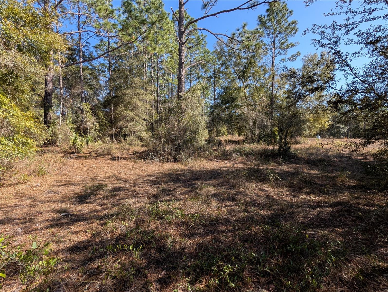 SW SOUNDVIEW DR, DUNNELLON, FL, 34431