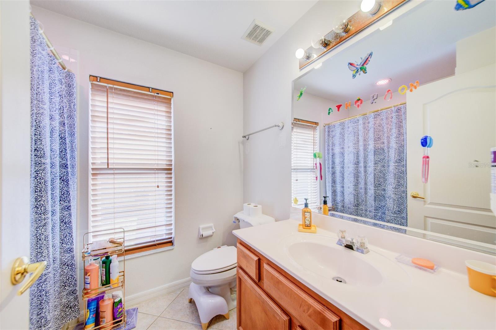 306 CARRIAGE OAK PL, SEFFNER, FL, 33584