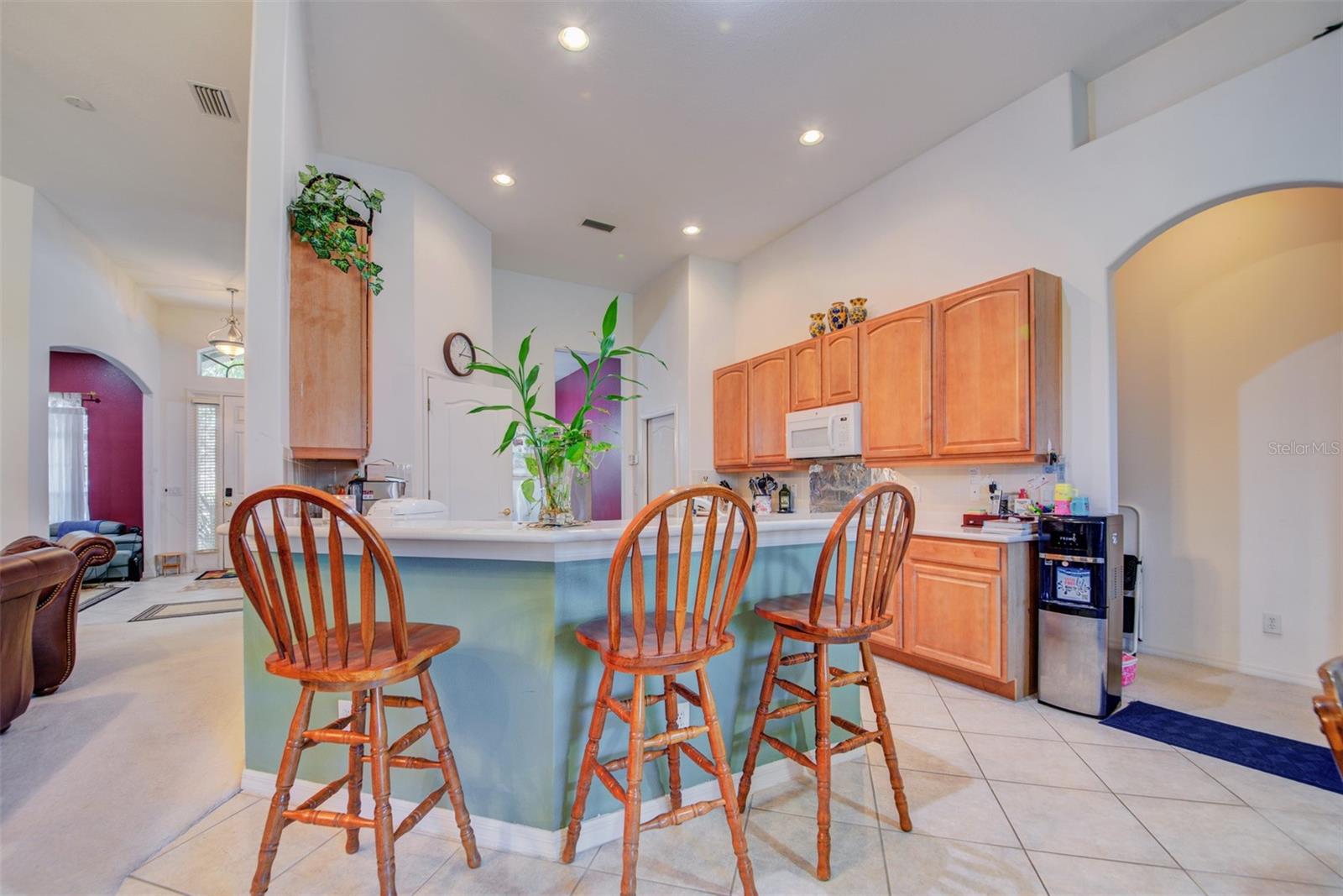 306 CARRIAGE OAK PL, SEFFNER, FL, 33584