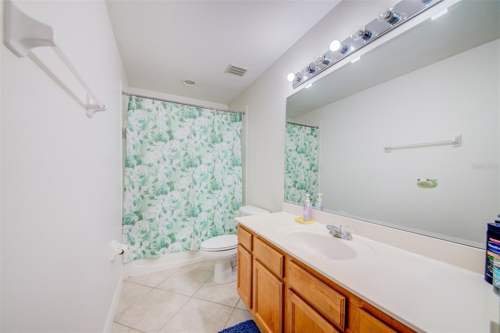 306 CARRIAGE OAK PL, SEFFNER, FL, 33584