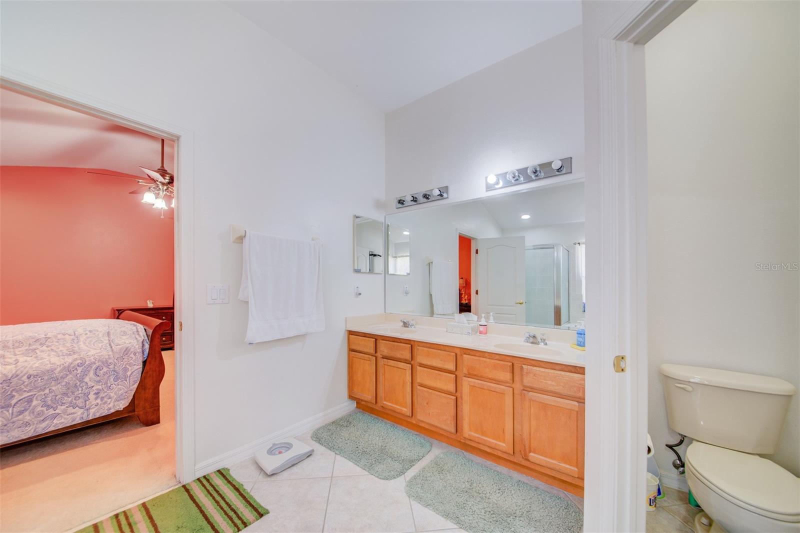 306 CARRIAGE OAK PL, SEFFNER, FL, 33584