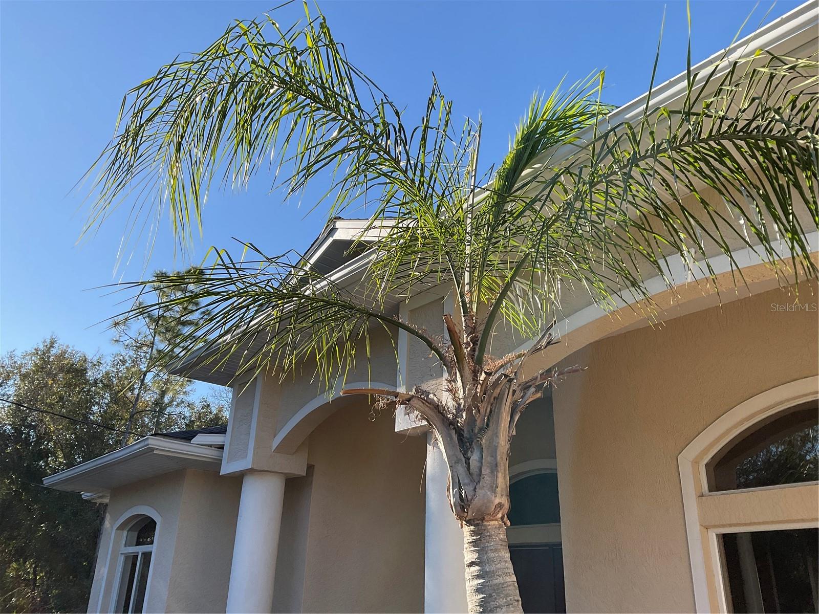 2431 WALLER RD, NORTH PORT, FL, 34288