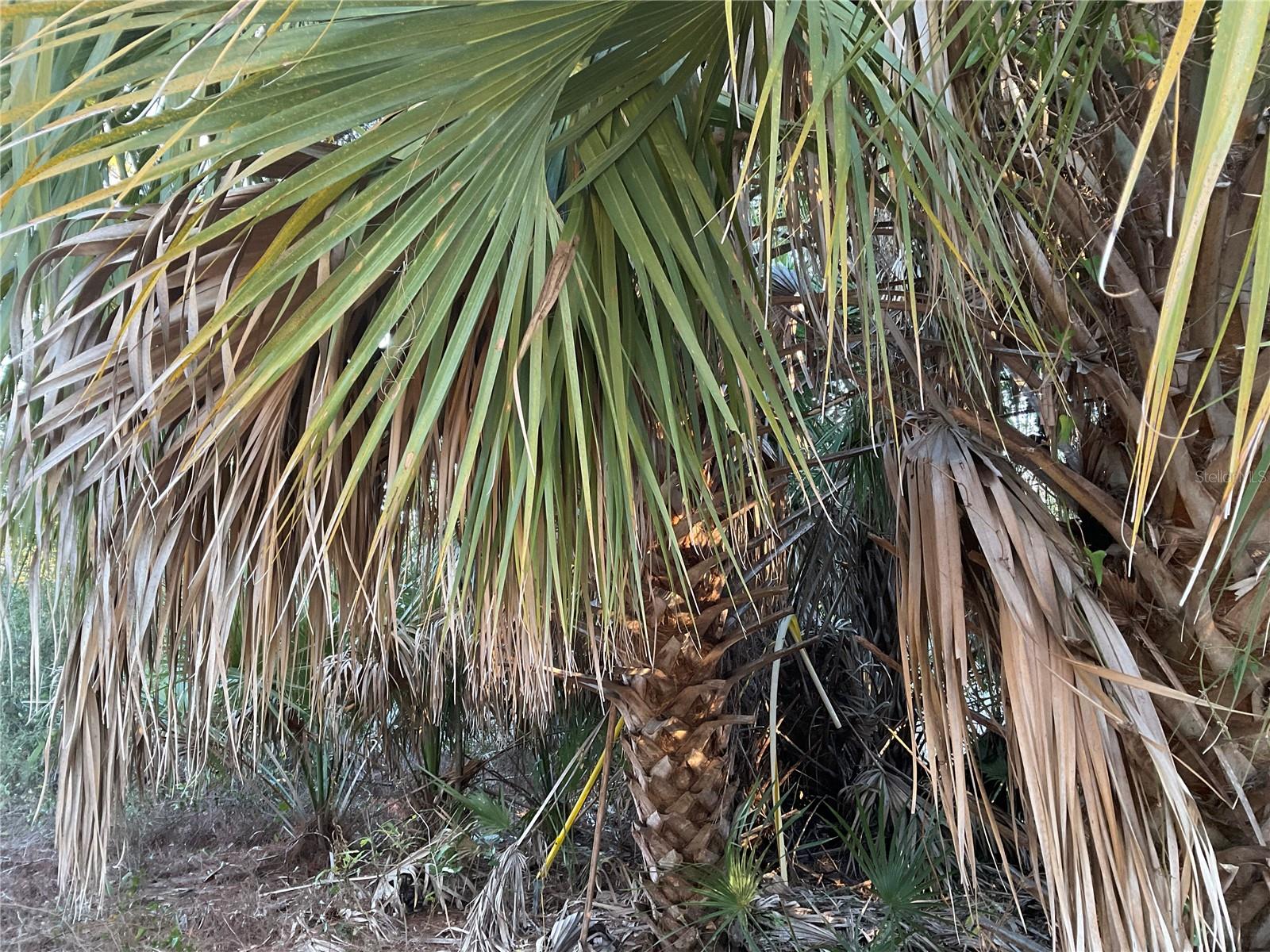 2431 WALLER RD, NORTH PORT, FL, 34288