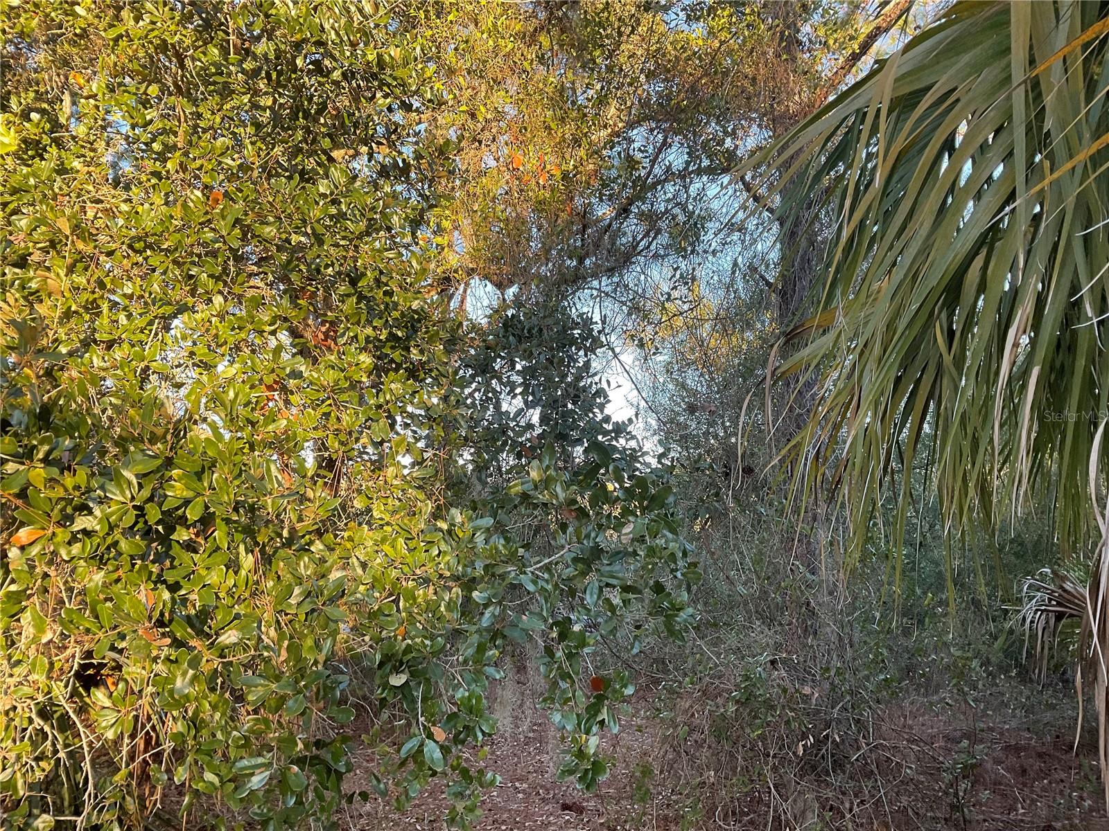 2431 WALLER RD, NORTH PORT, FL, 34288