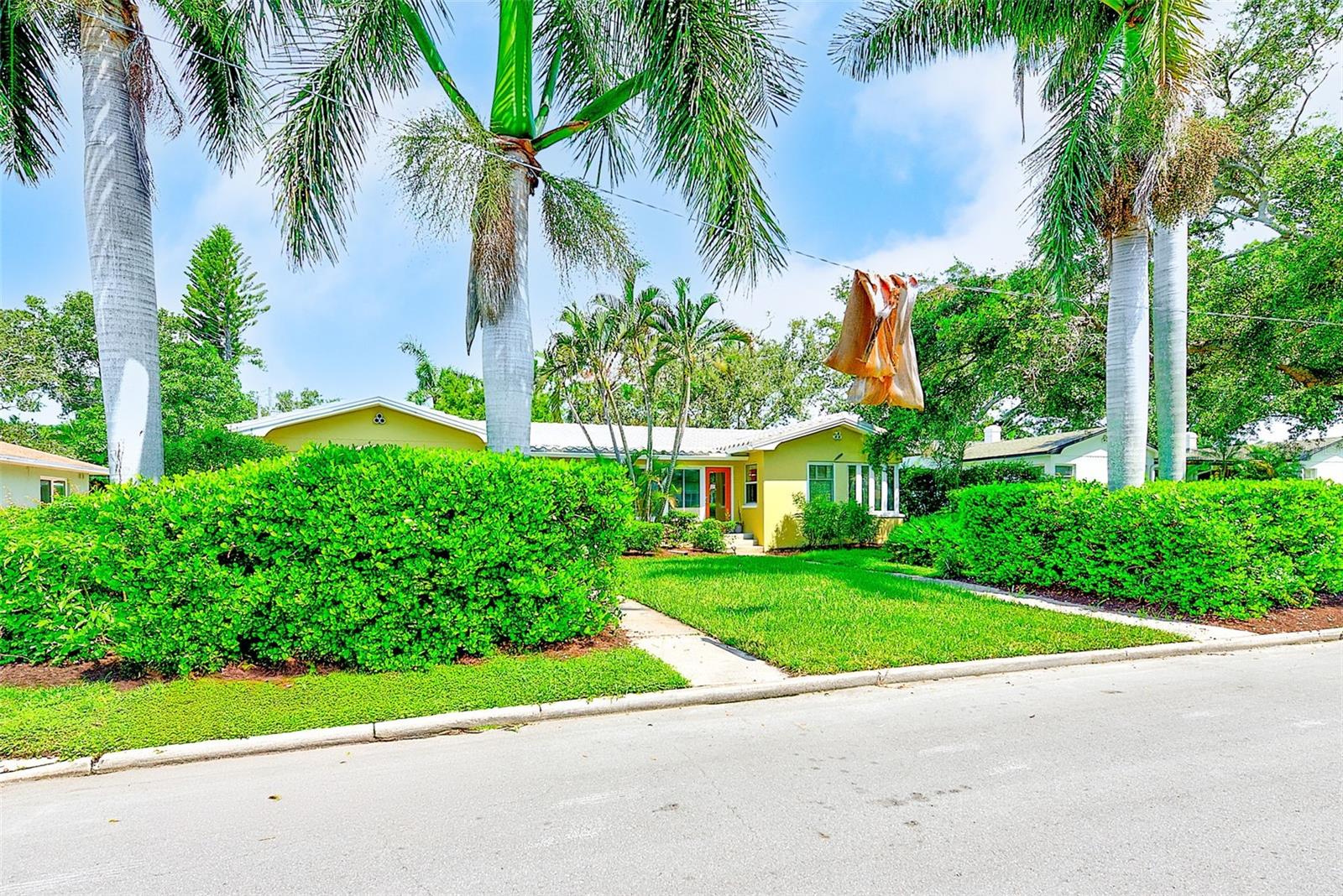 240-242 MATEO WAY NE, ST PETERSBURG, FL, 33704