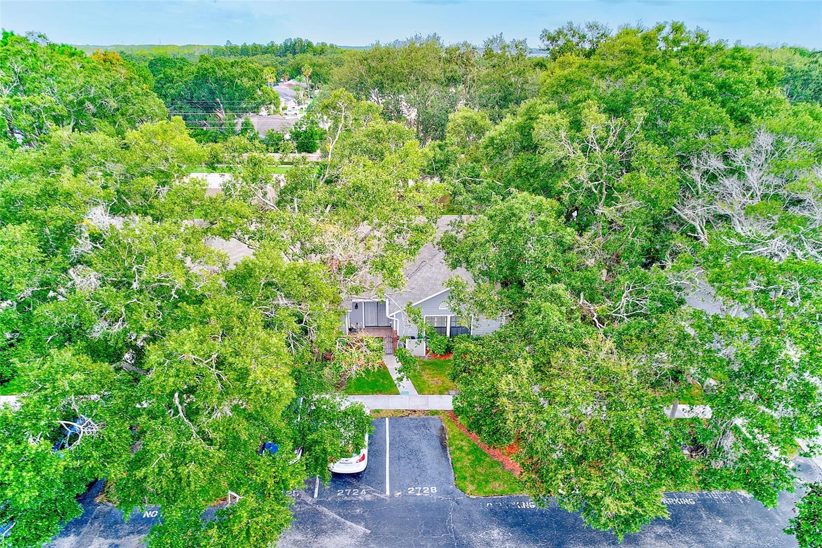 2728 BENTLEY DR, PALM HARBOR, FL, 34684