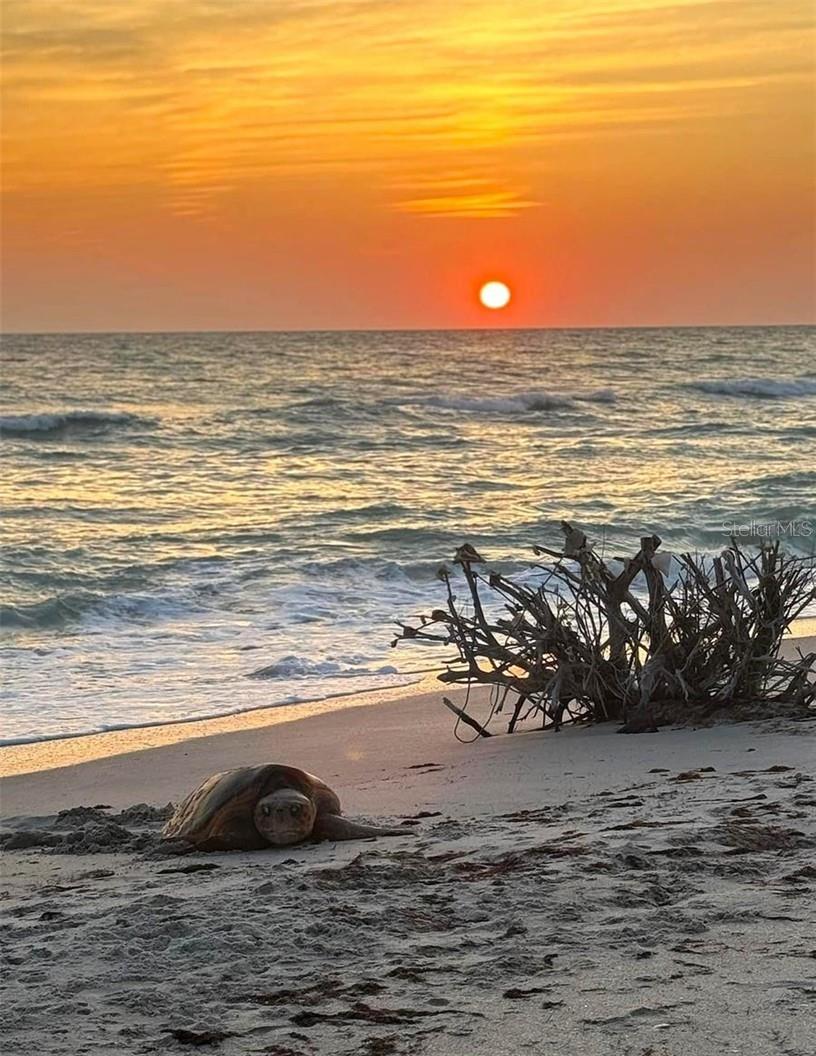 949 SUNCREST LN, ENGLEWOOD, FL, 34223