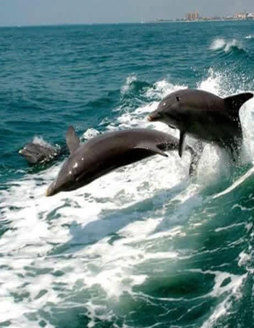 949 SUNCREST LN, ENGLEWOOD, FL, 34223