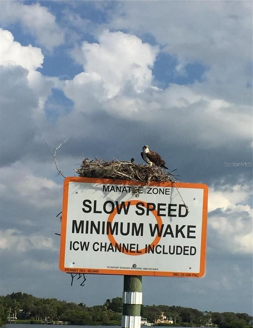 949 SUNCREST LN, ENGLEWOOD, FL, 34223