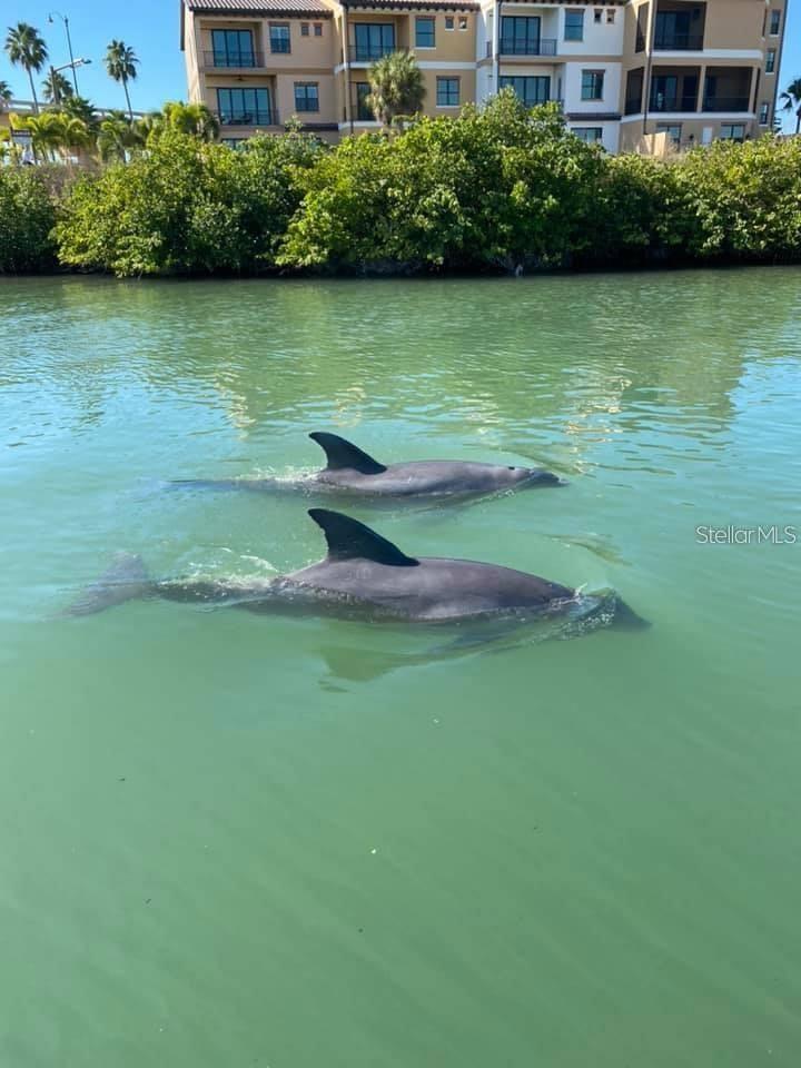 949 SUNCREST LN, ENGLEWOOD, FL, 34223