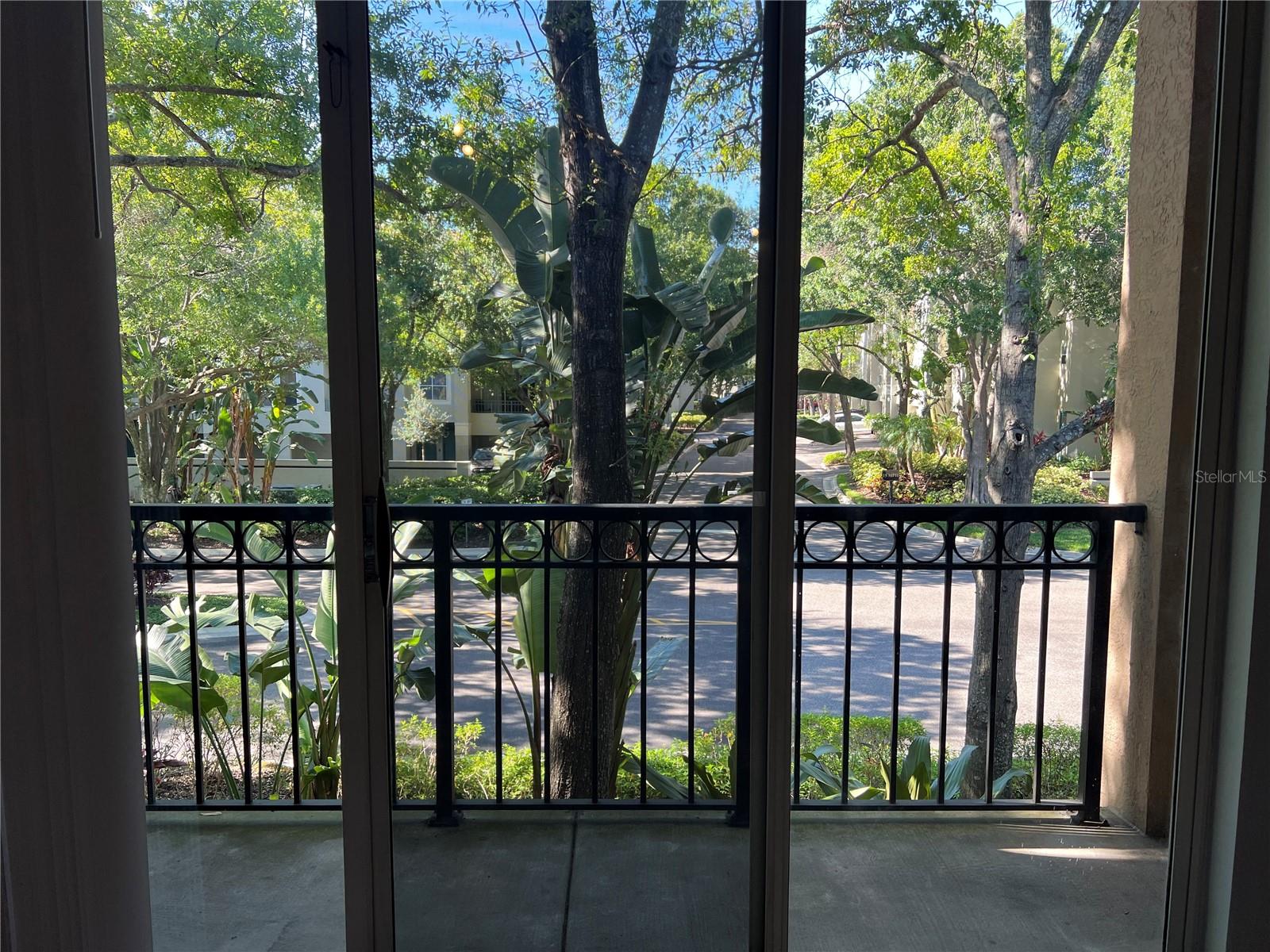 805 NORMANDY TRACE RD, TAMPA, FL, 33602