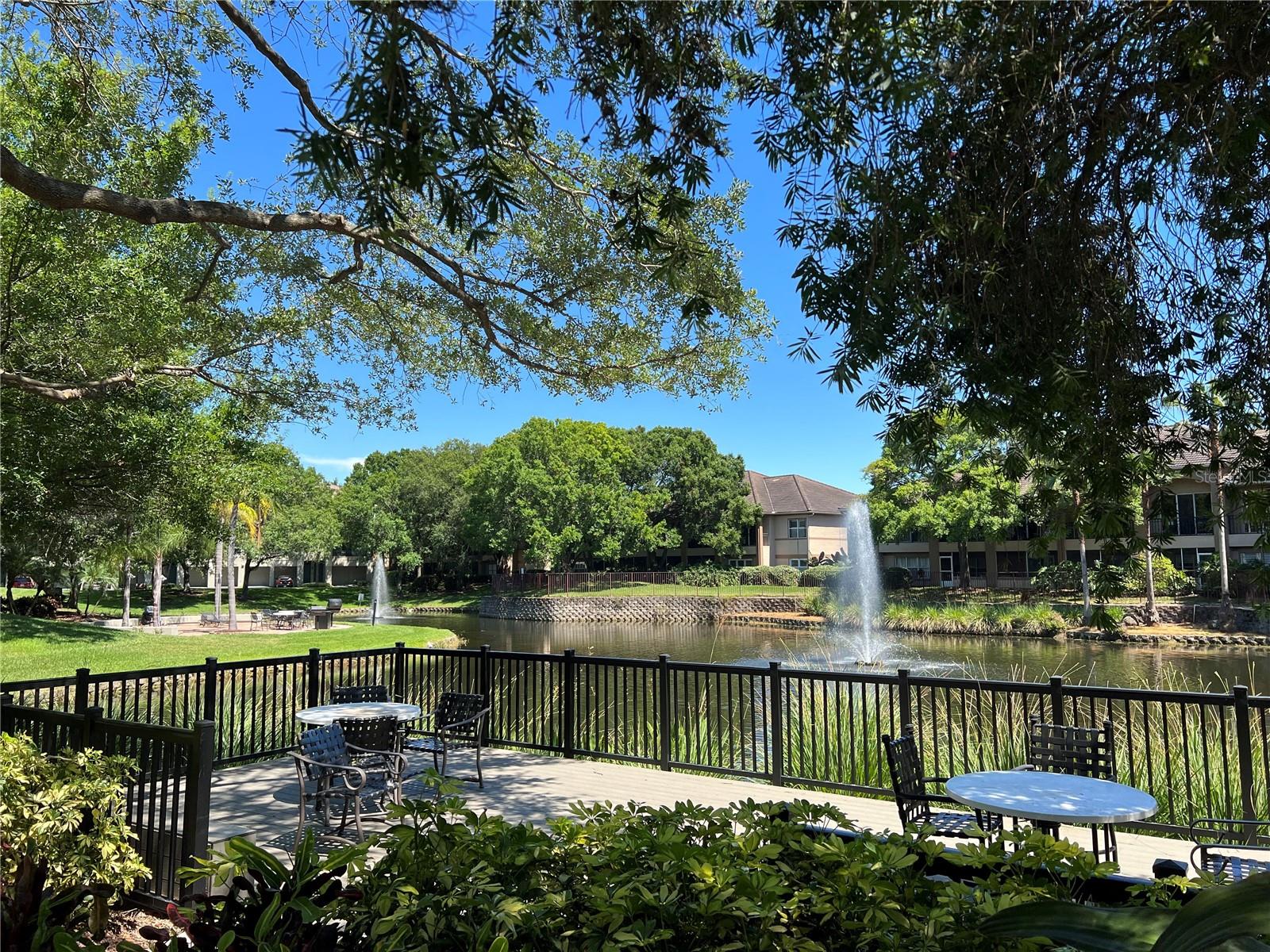 805 NORMANDY TRACE RD, TAMPA, FL, 33602