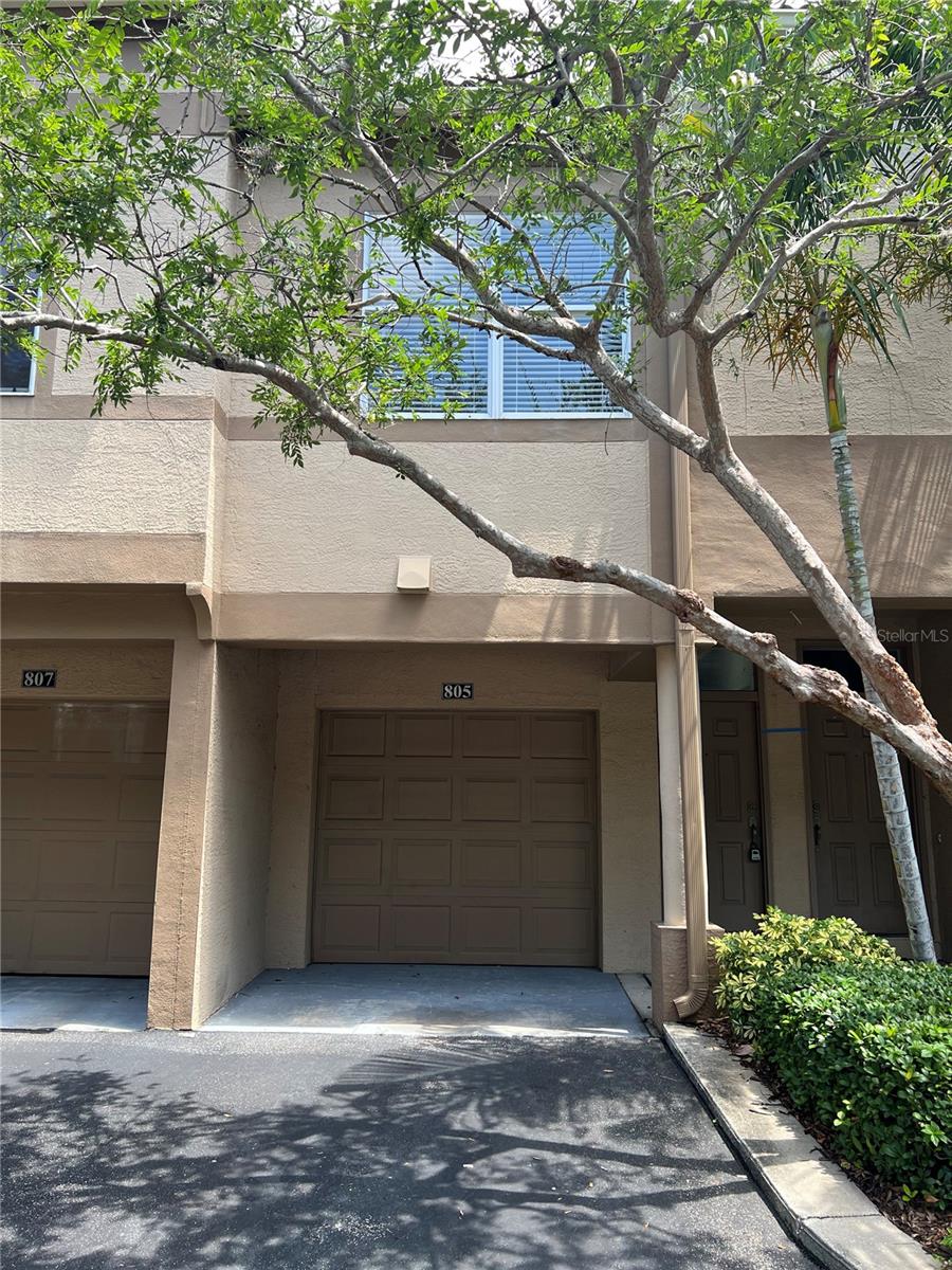 805 NORMANDY TRACE RD, TAMPA, FL, 33602