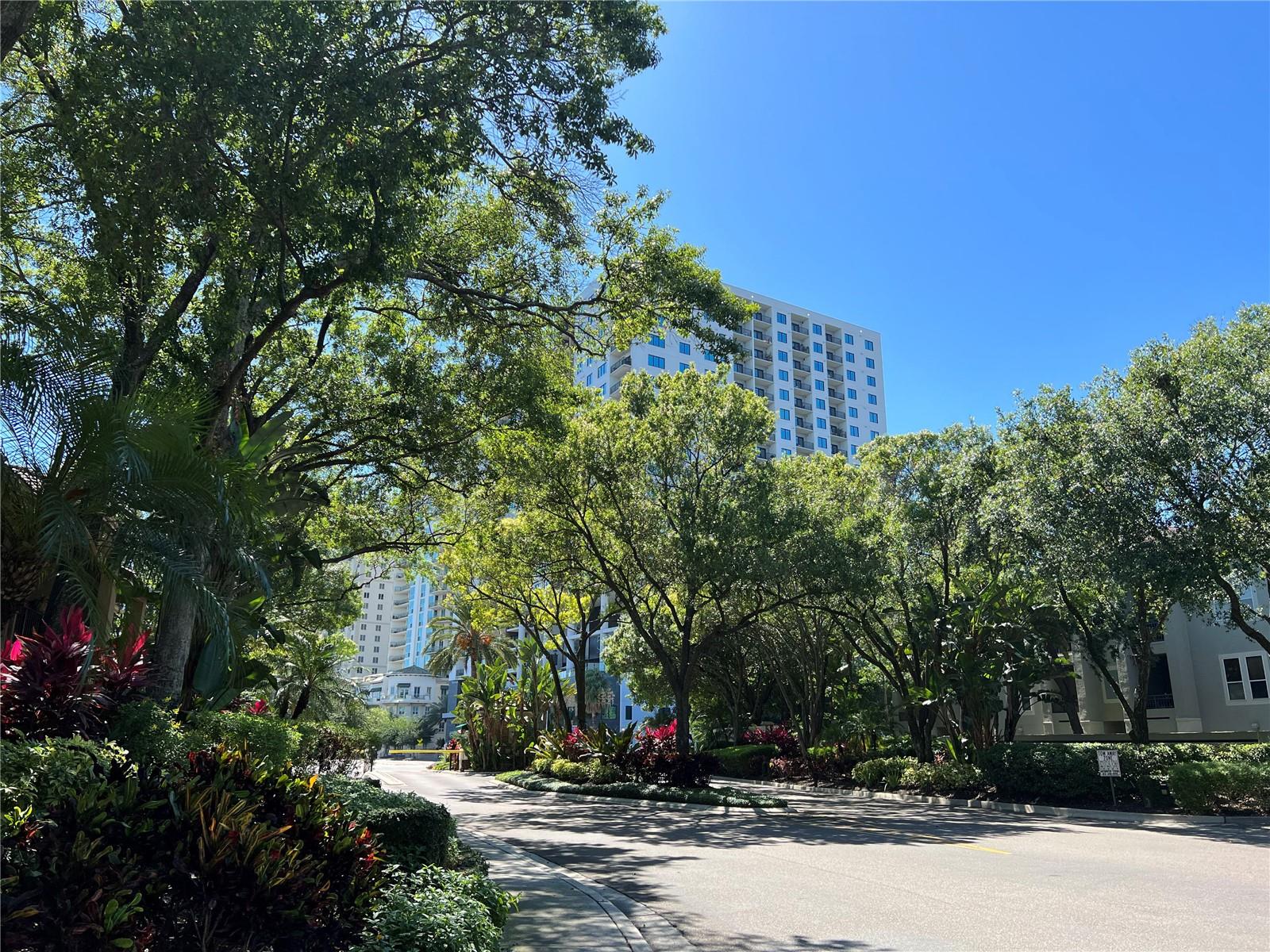 805 NORMANDY TRACE RD, TAMPA, FL, 33602