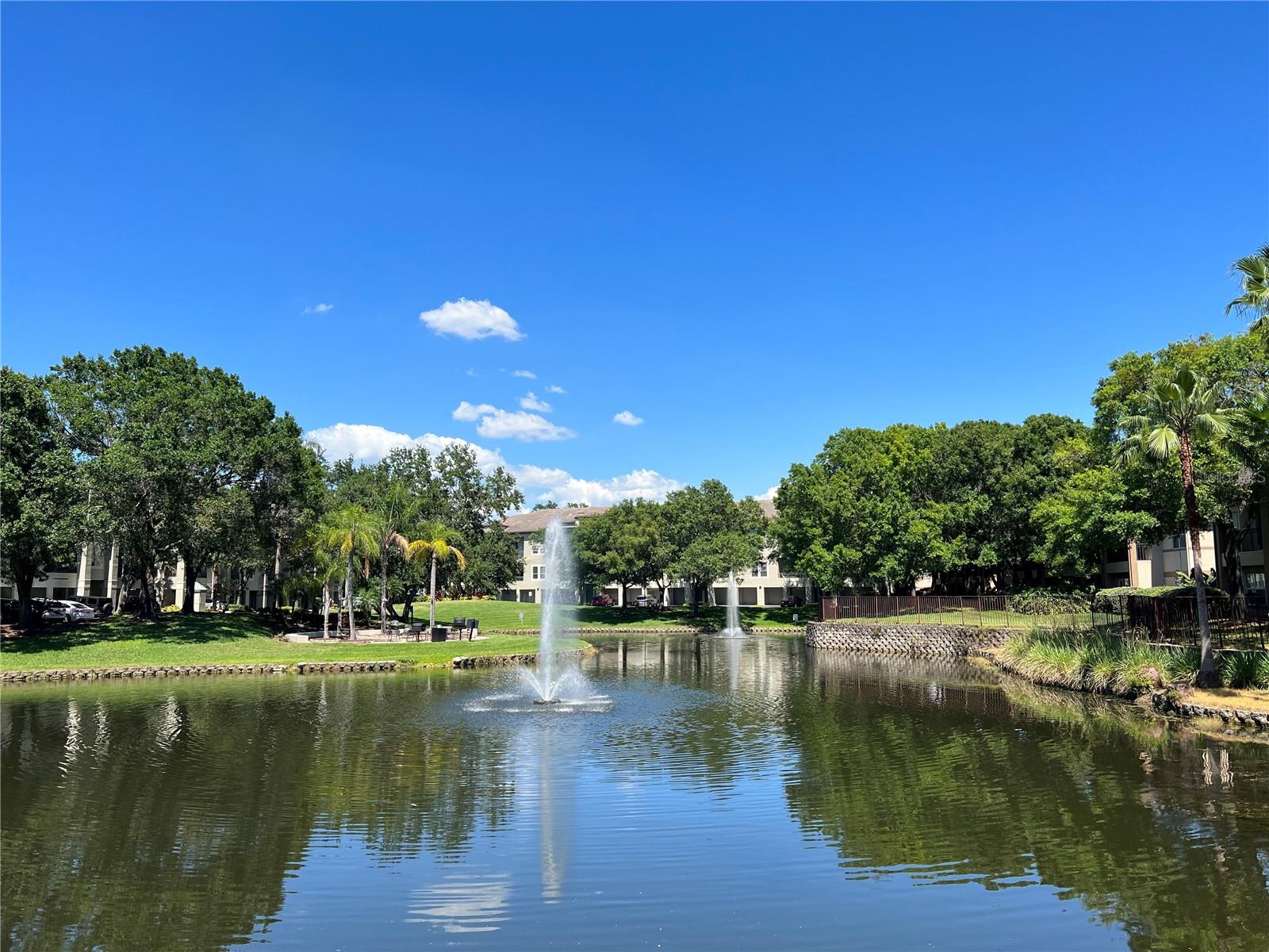 805 NORMANDY TRACE RD, TAMPA, FL, 33602