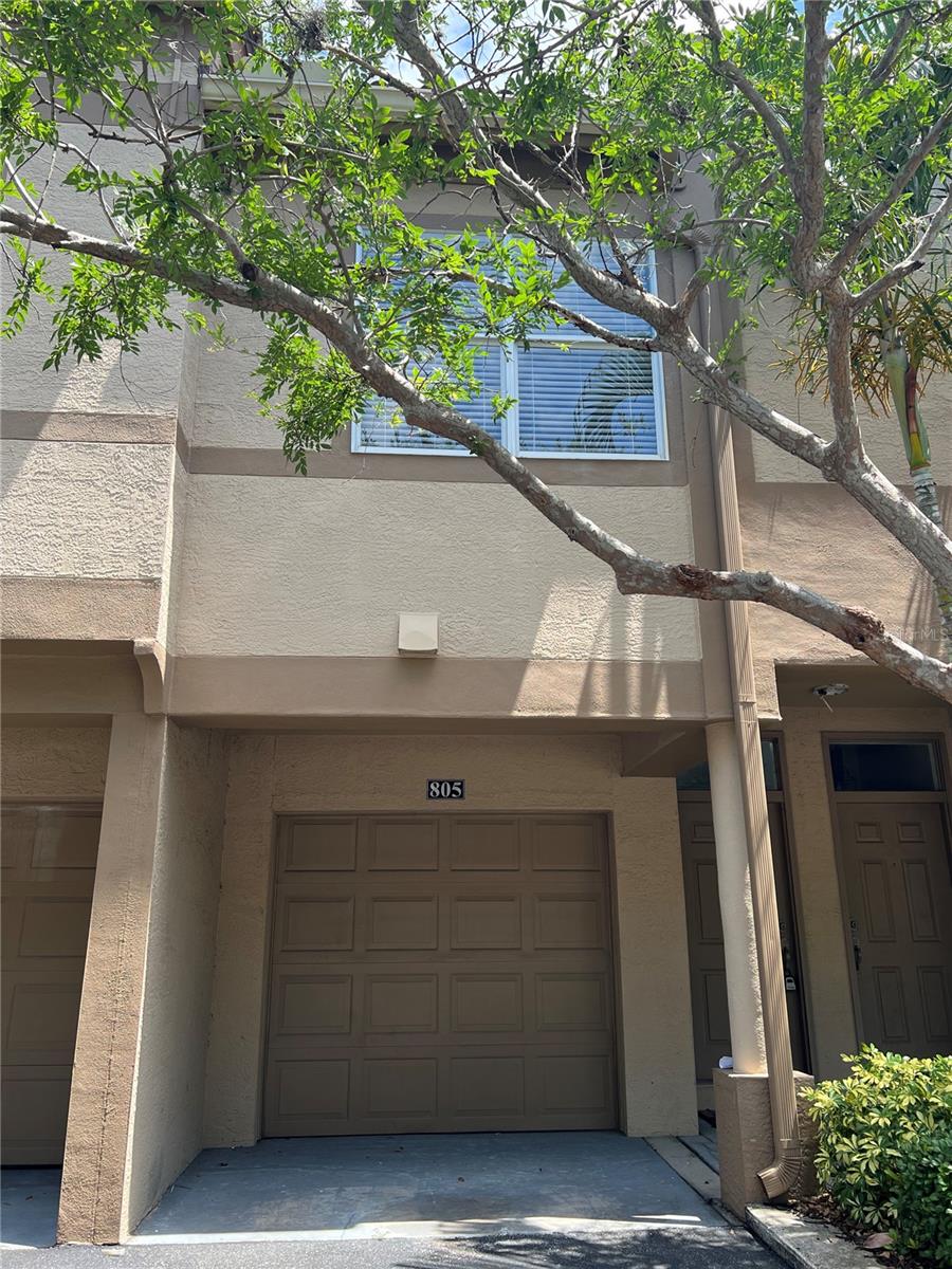 805 NORMANDY TRACE RD, TAMPA, FL, 33602