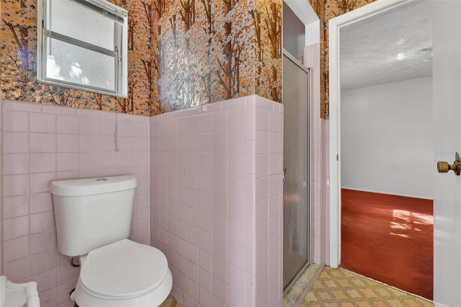 10320 BROWNWOOD AVE, ORLANDO, FL, 32825