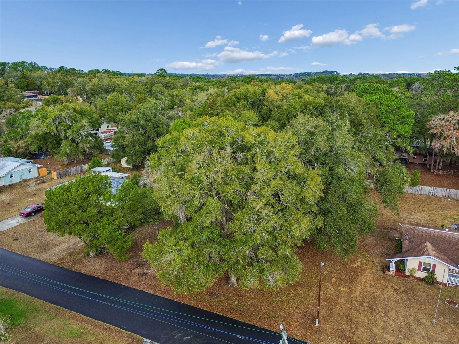 5501 E LIVE OAK LN, INVERNESS, FL, 34453