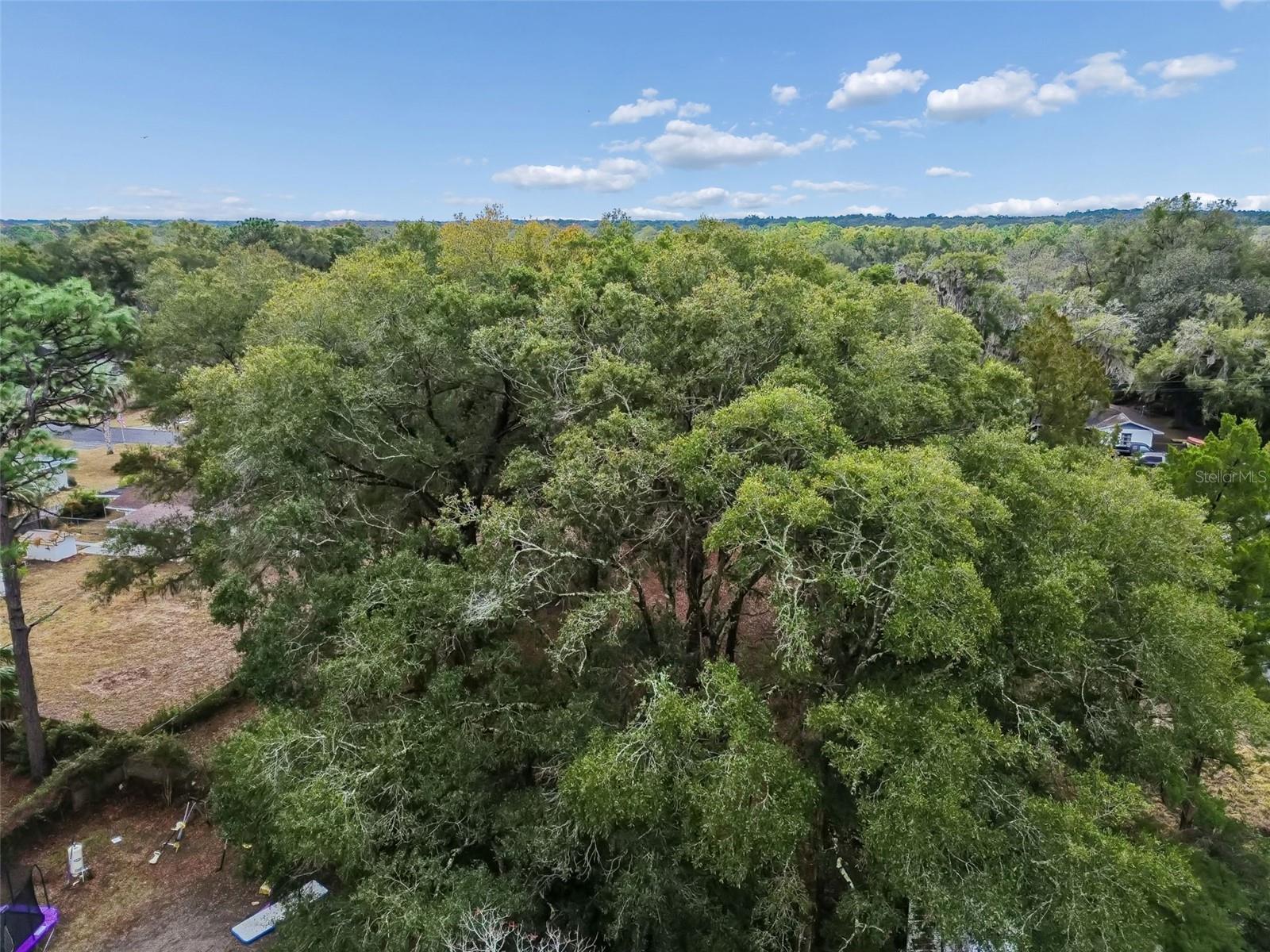 5501 E LIVE OAK LN, INVERNESS, FL, 34453