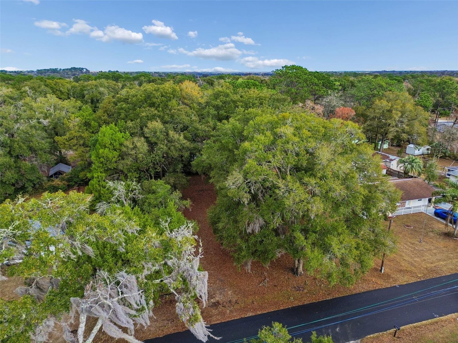 5501 E LIVE OAK LN, INVERNESS, FL, 34453