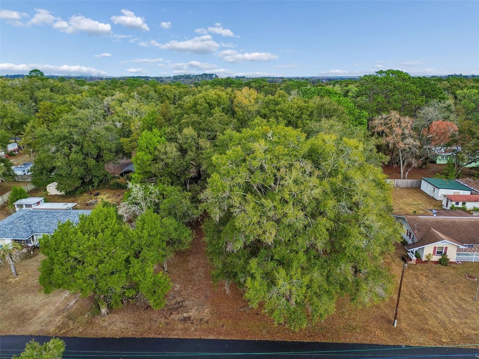 5501 E LIVE OAK LN, INVERNESS, FL, 34453