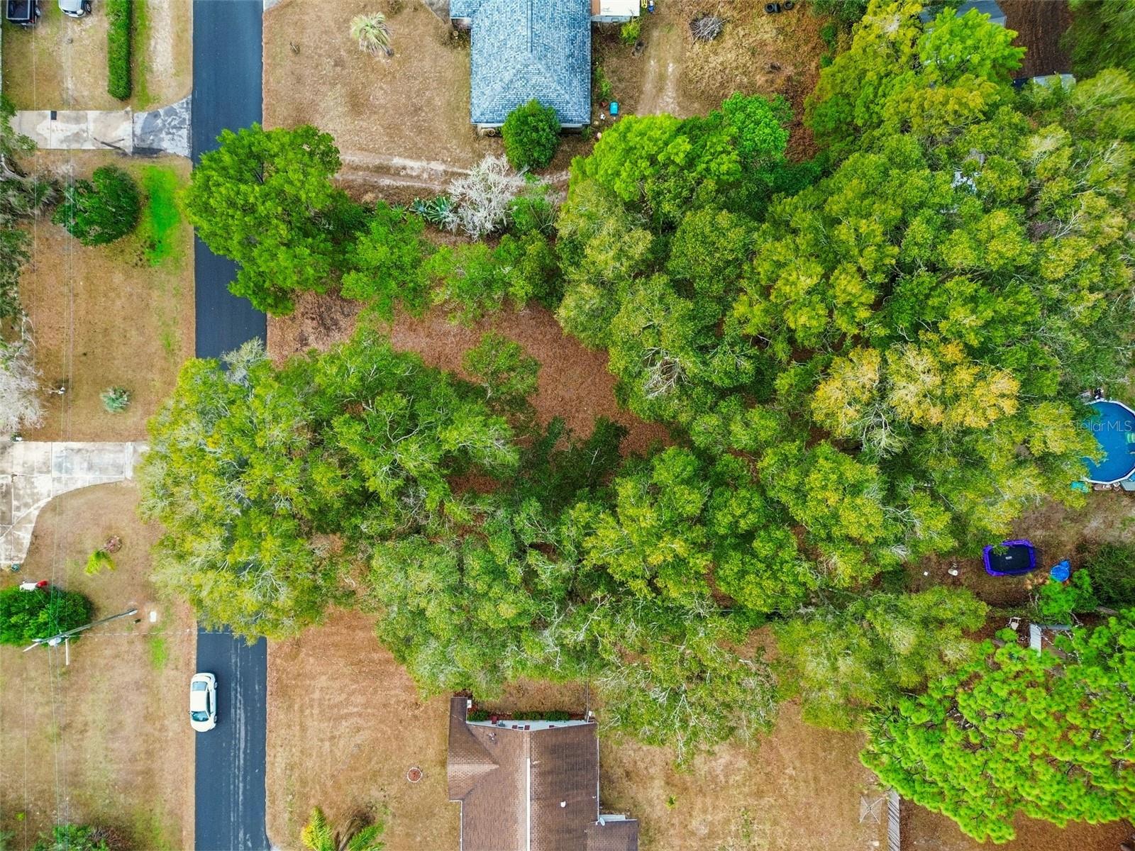 5501 E LIVE OAK LN, INVERNESS, FL, 34453