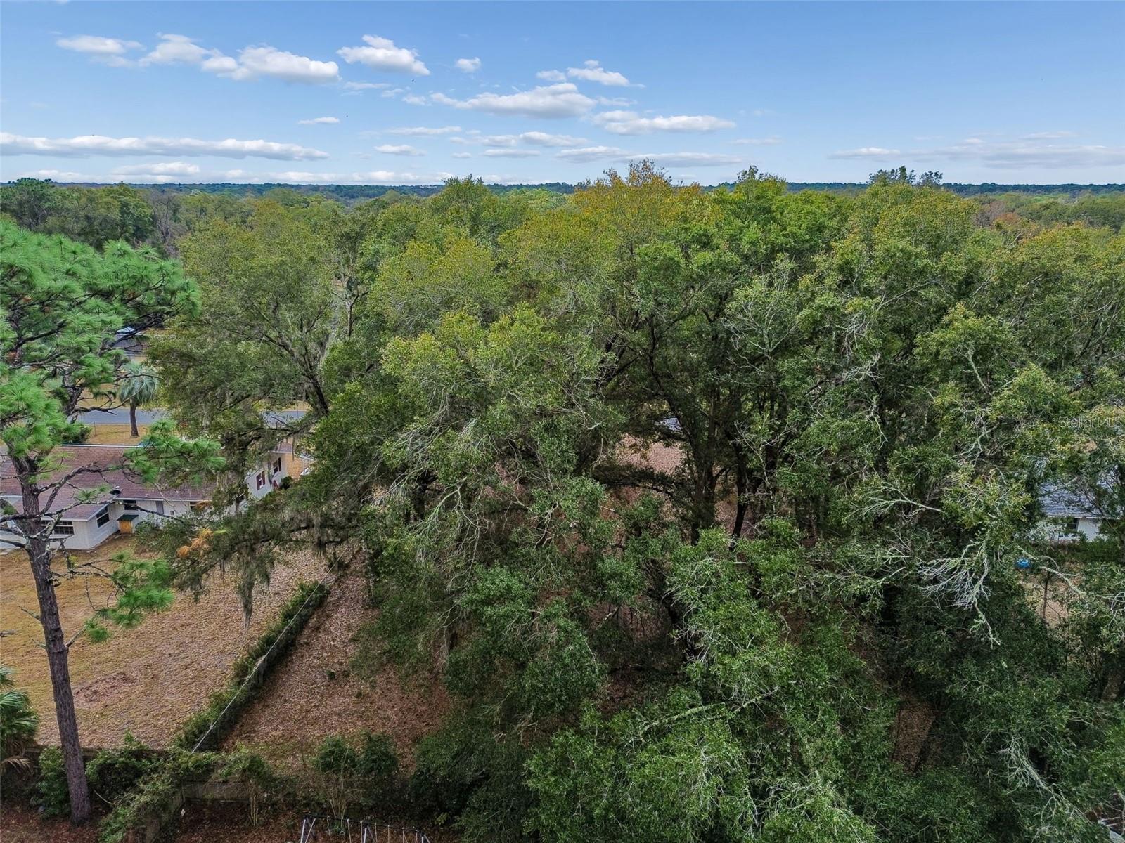 5501 E LIVE OAK LN, INVERNESS, FL, 34453