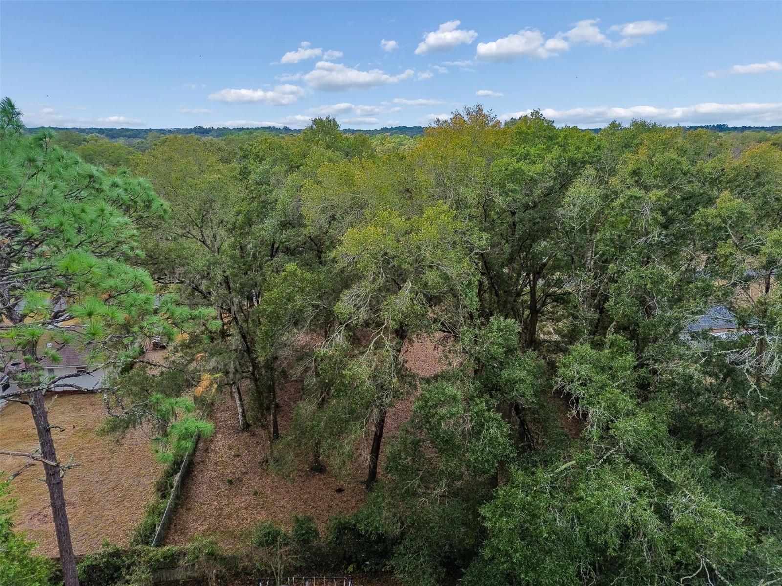 5501 E LIVE OAK LN, INVERNESS, FL, 34453