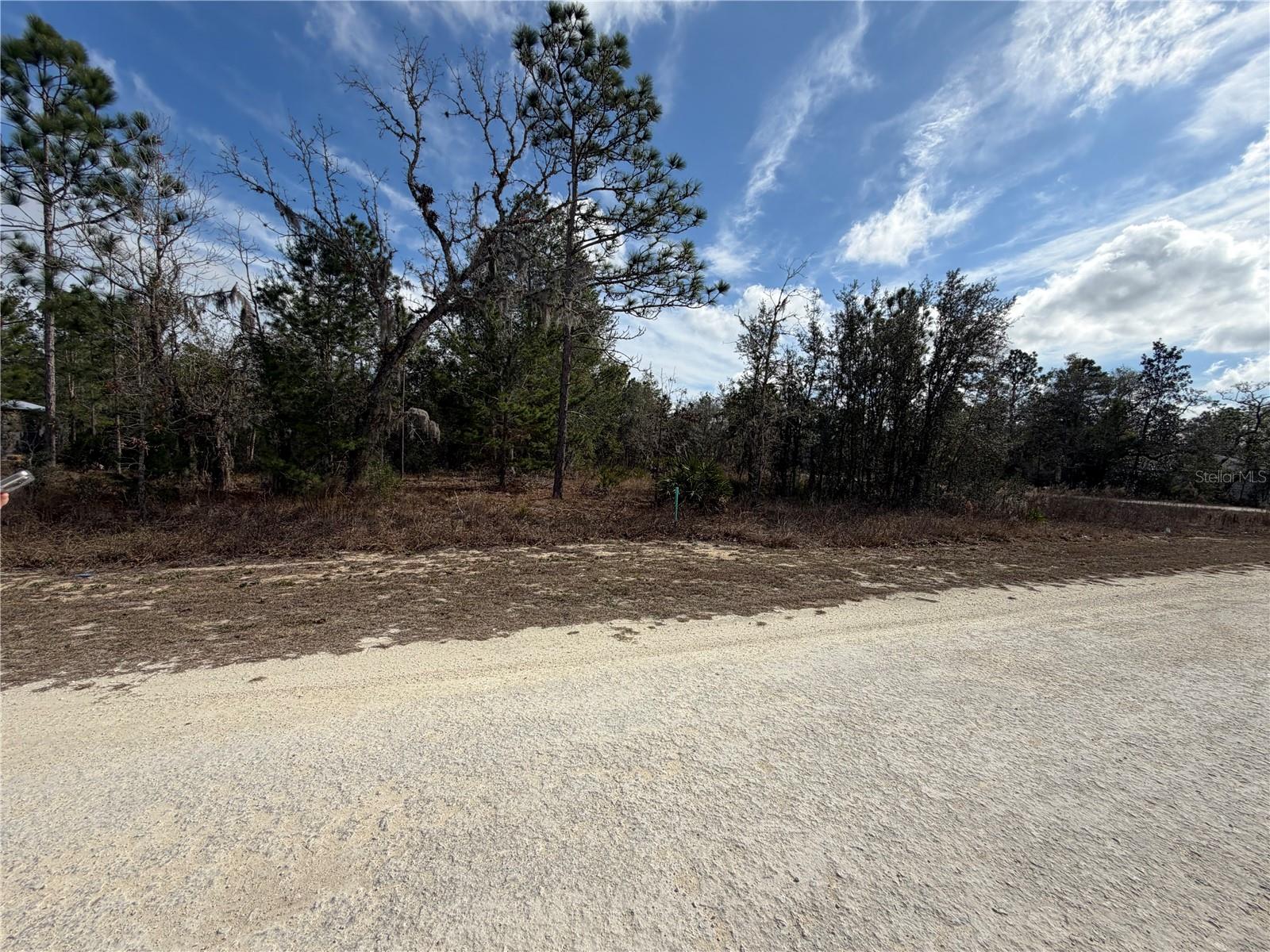 16426 COURLAN RD, BROOKSVILLE, FL, 34614