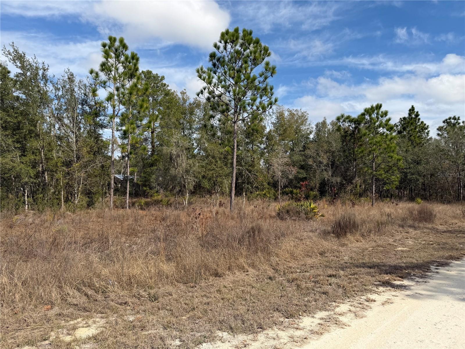 16426 COURLAN RD, BROOKSVILLE, FL, 34614