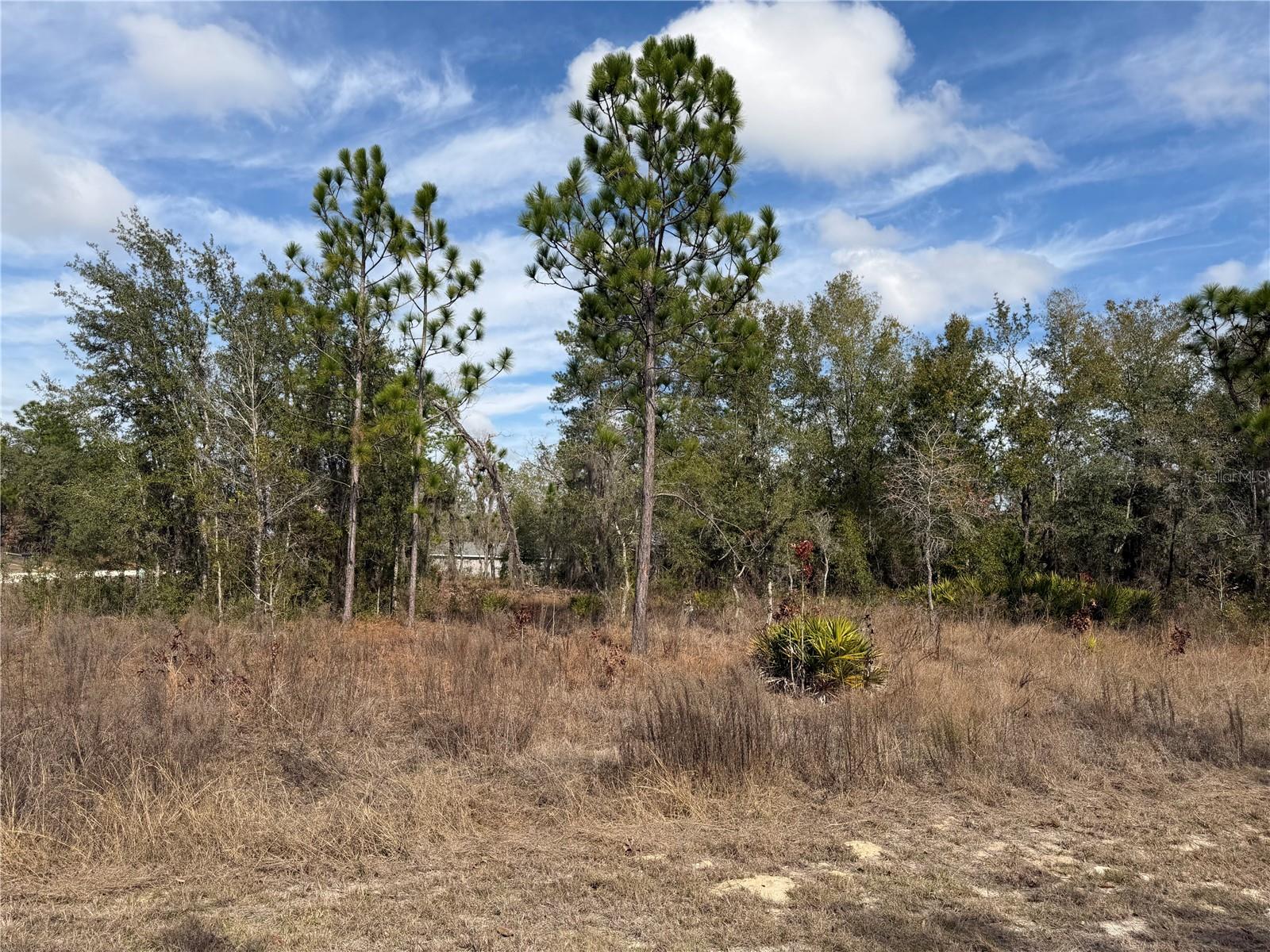 16426 COURLAN RD, BROOKSVILLE, FL, 34614