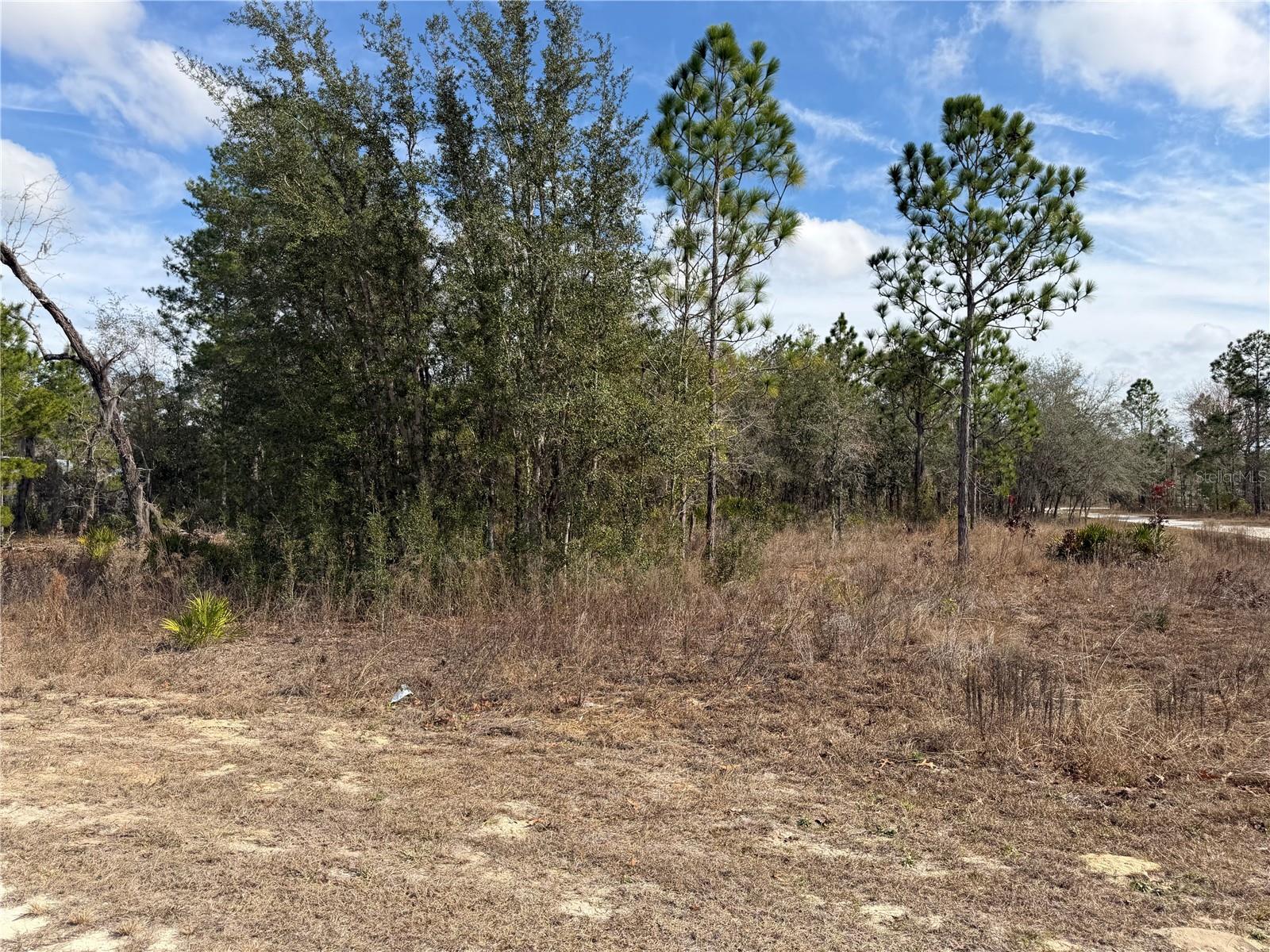 16426 COURLAN RD, BROOKSVILLE, FL, 34614