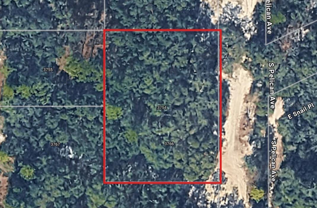 3754 S PELICAN AVE, INVERNESS, FL, 34450