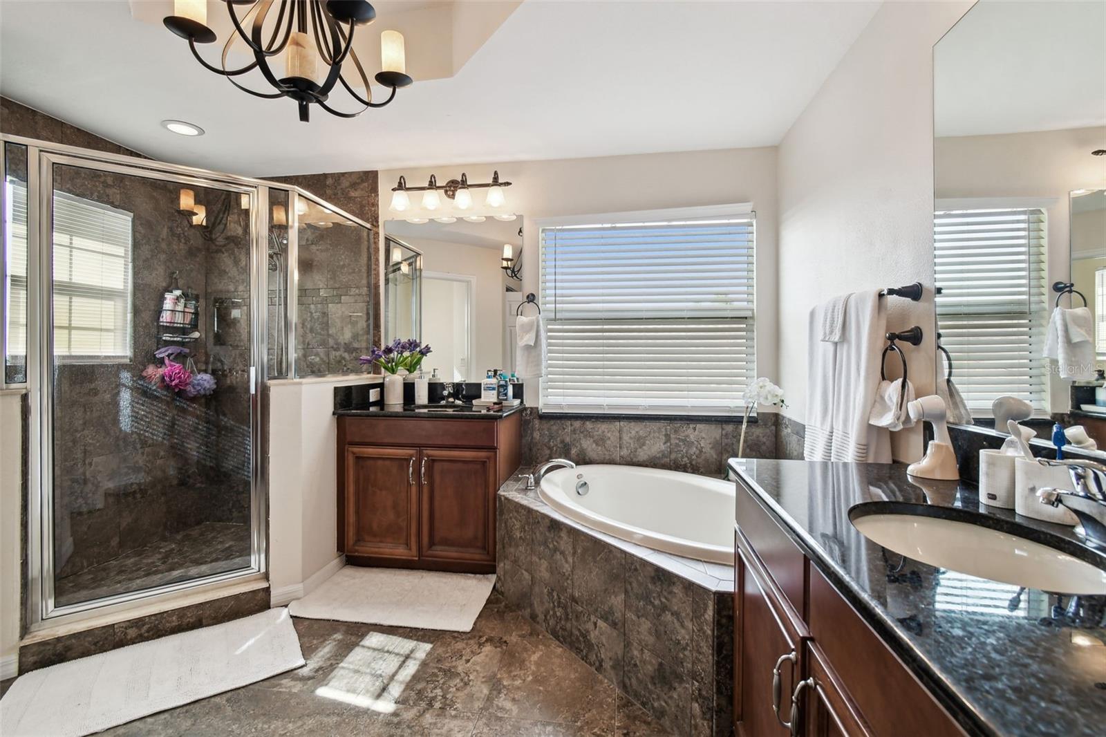 8542 EAGLE BROOK DR, LAND O LAKES, FL, 34638