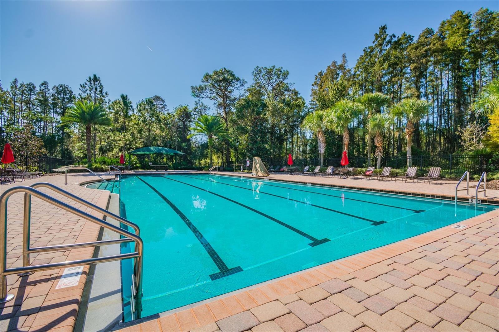 8542 EAGLE BROOK DR, LAND O LAKES, FL, 34638