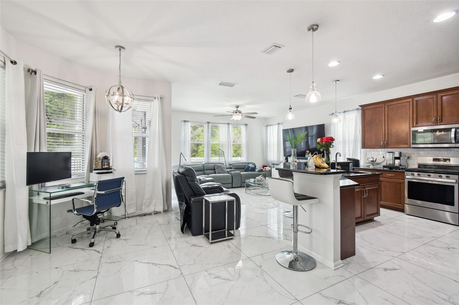8542 EAGLE BROOK DR, LAND O LAKES, FL, 34638