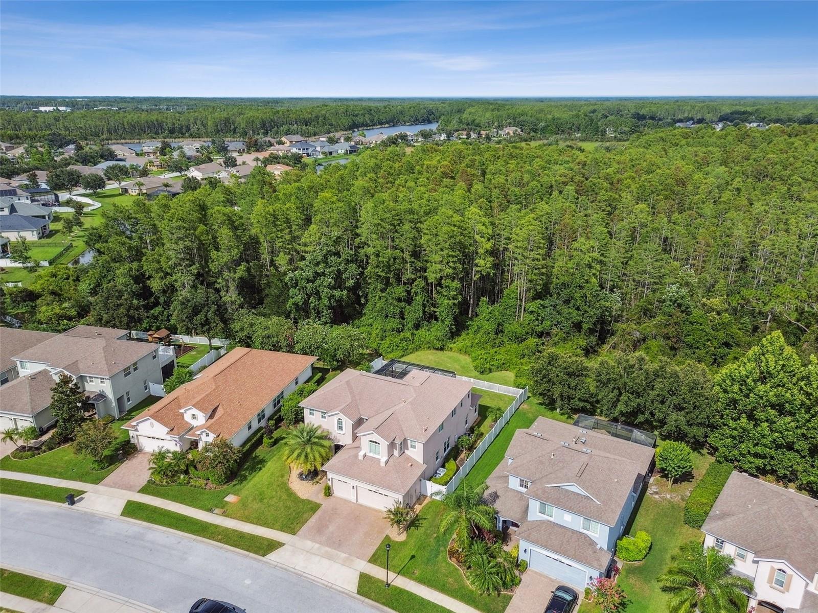 8542 EAGLE BROOK DR, LAND O LAKES, FL, 34638